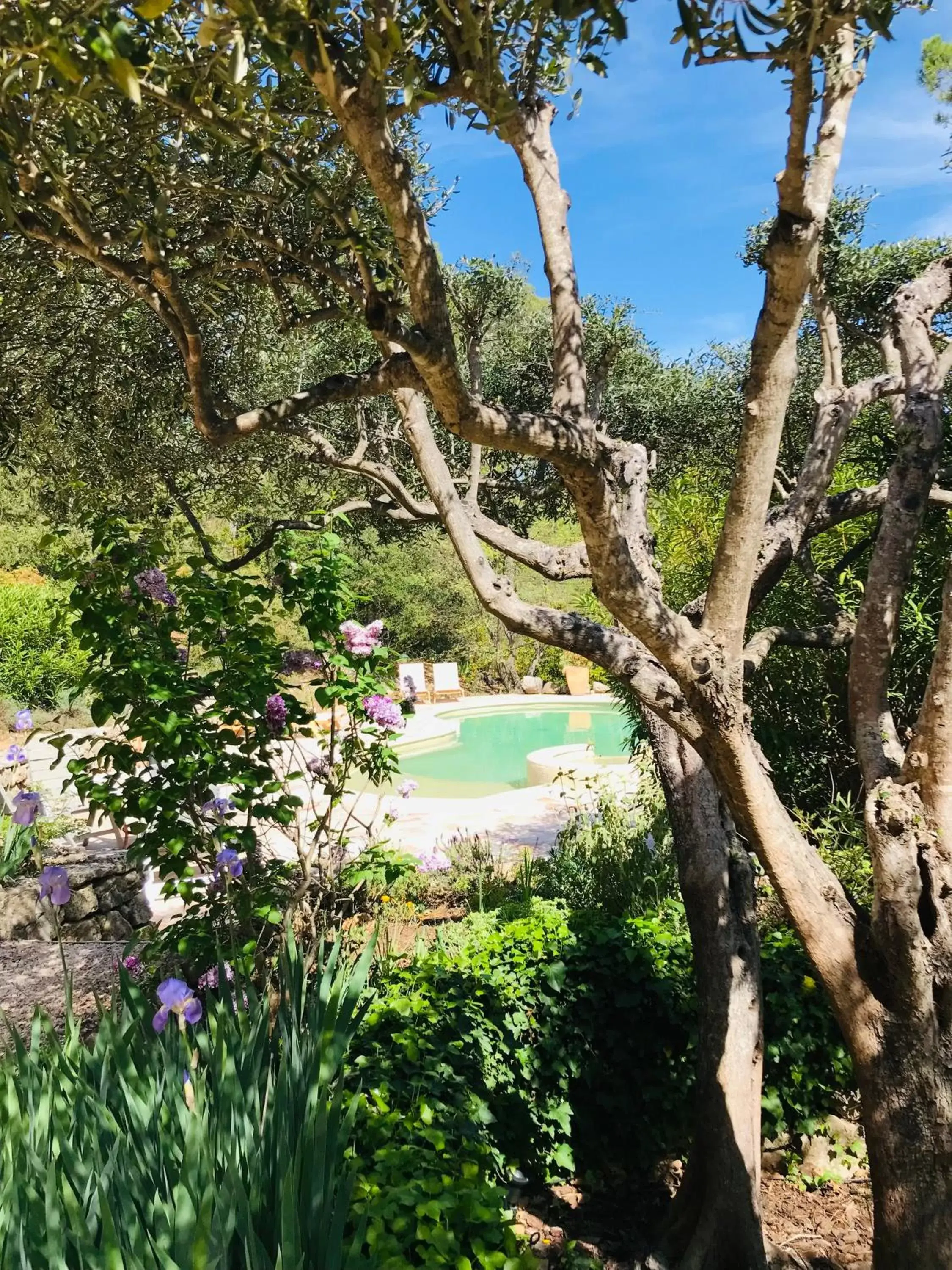 Swimming pool, Pool View in Les Bosquets