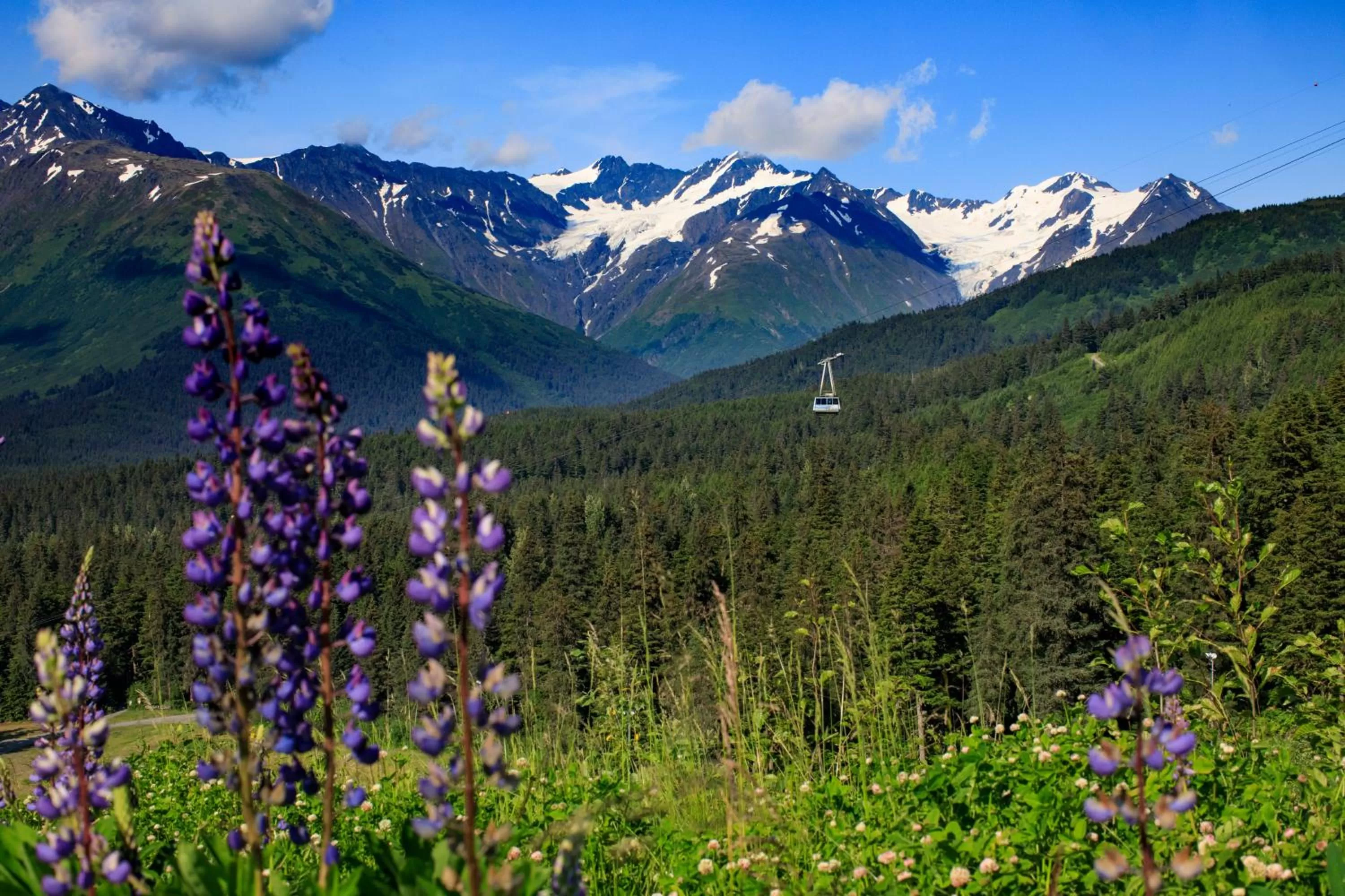 Natural landscape in Alyeska Resort