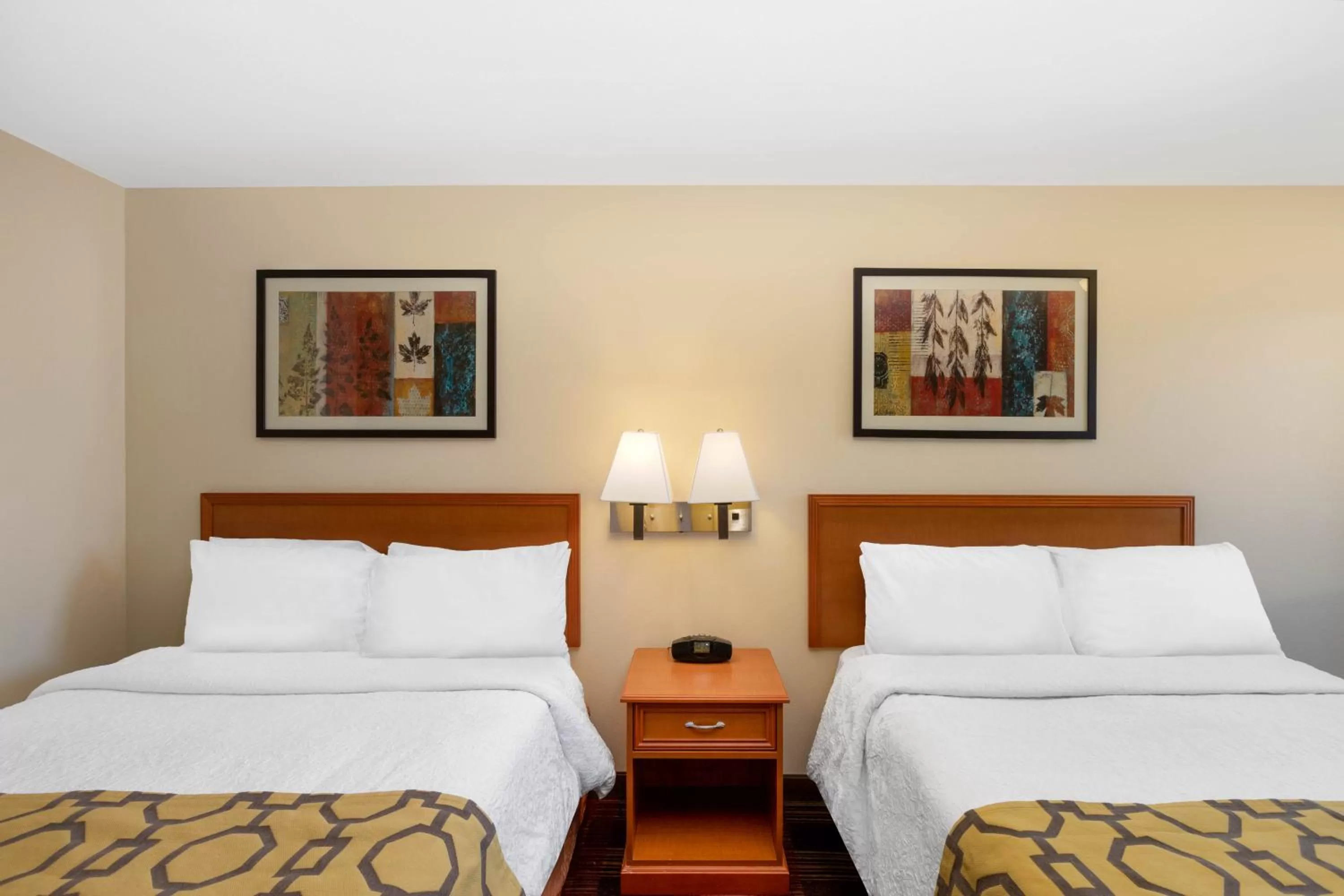 Photo of the whole room in Baymont by Wyndham Spearfish