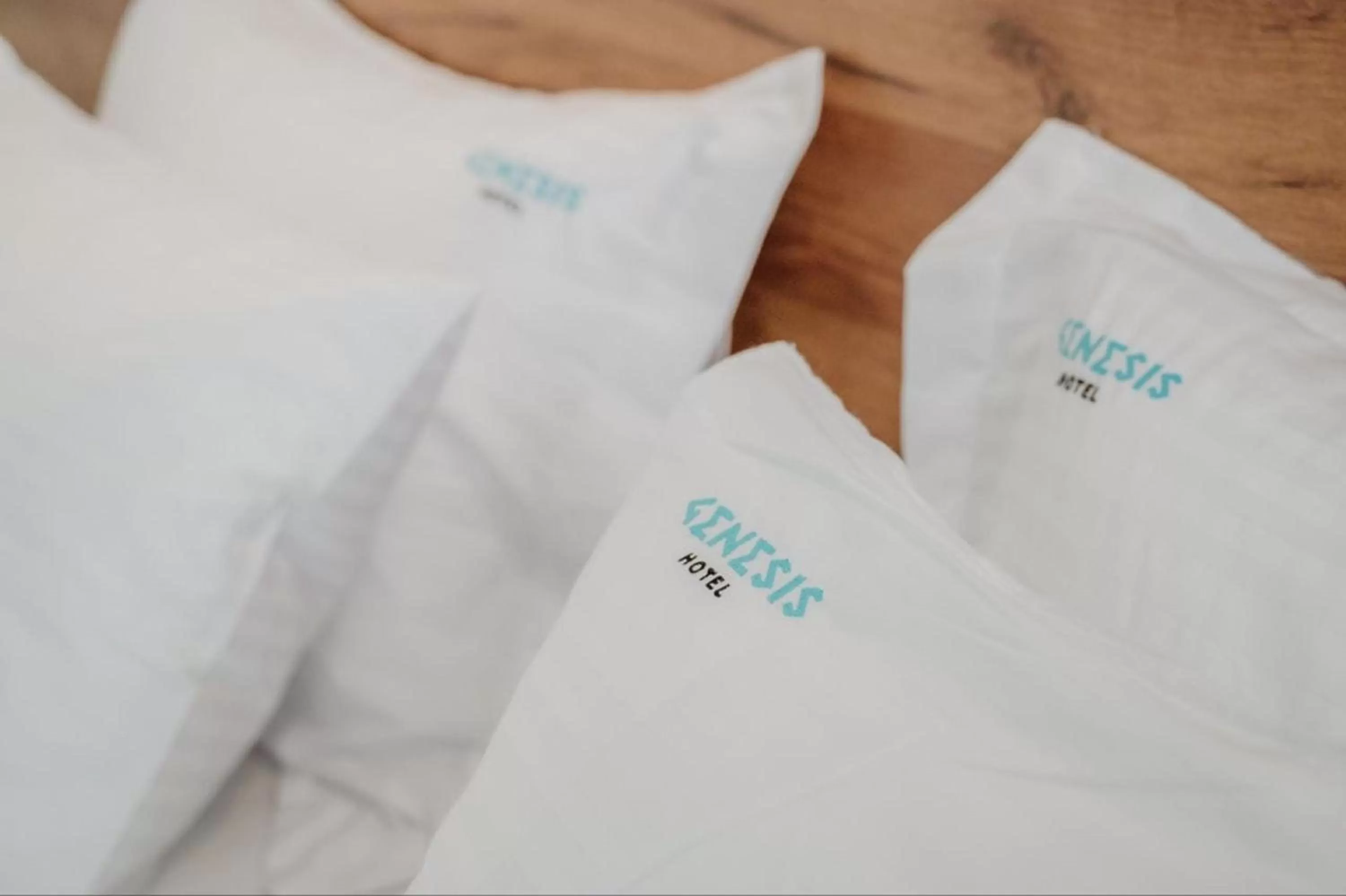 Family Room in Genesis Hotel