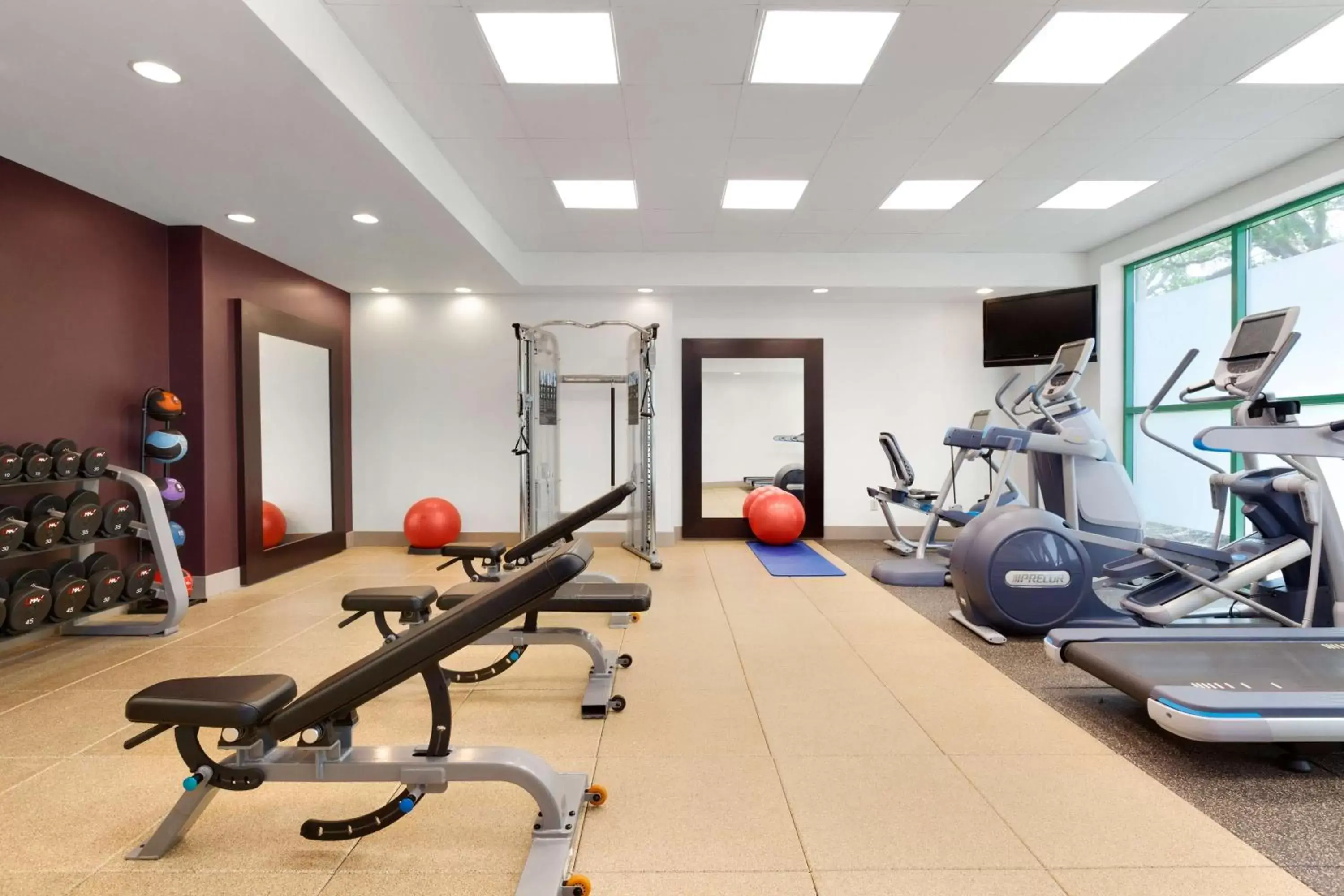 Fitness centre/facilities, Fitness Center/Facilities in Embassy Suites by Hilton Tampa USF Near Busch Gardens