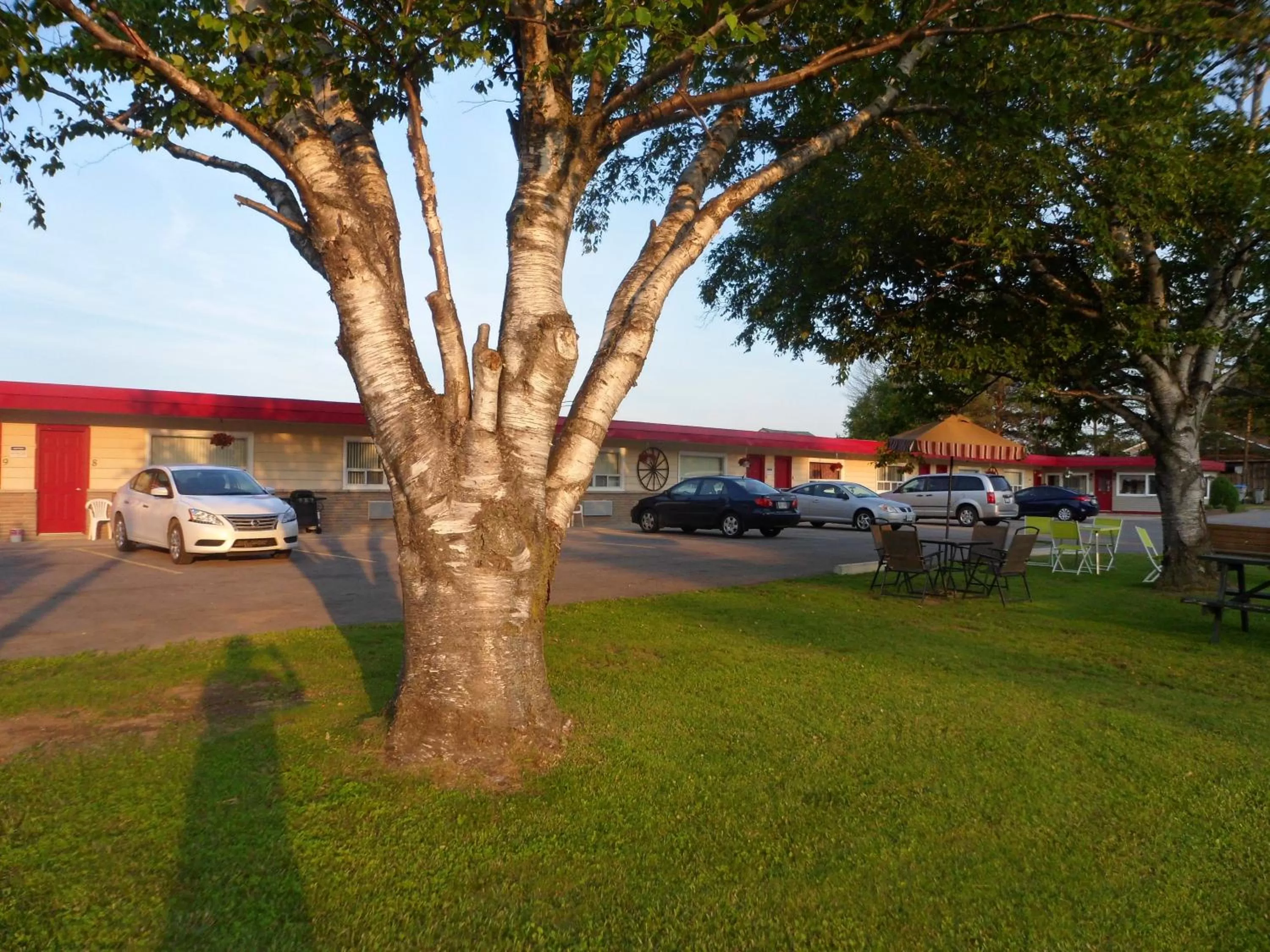 Property building in The Silver Birch Motel