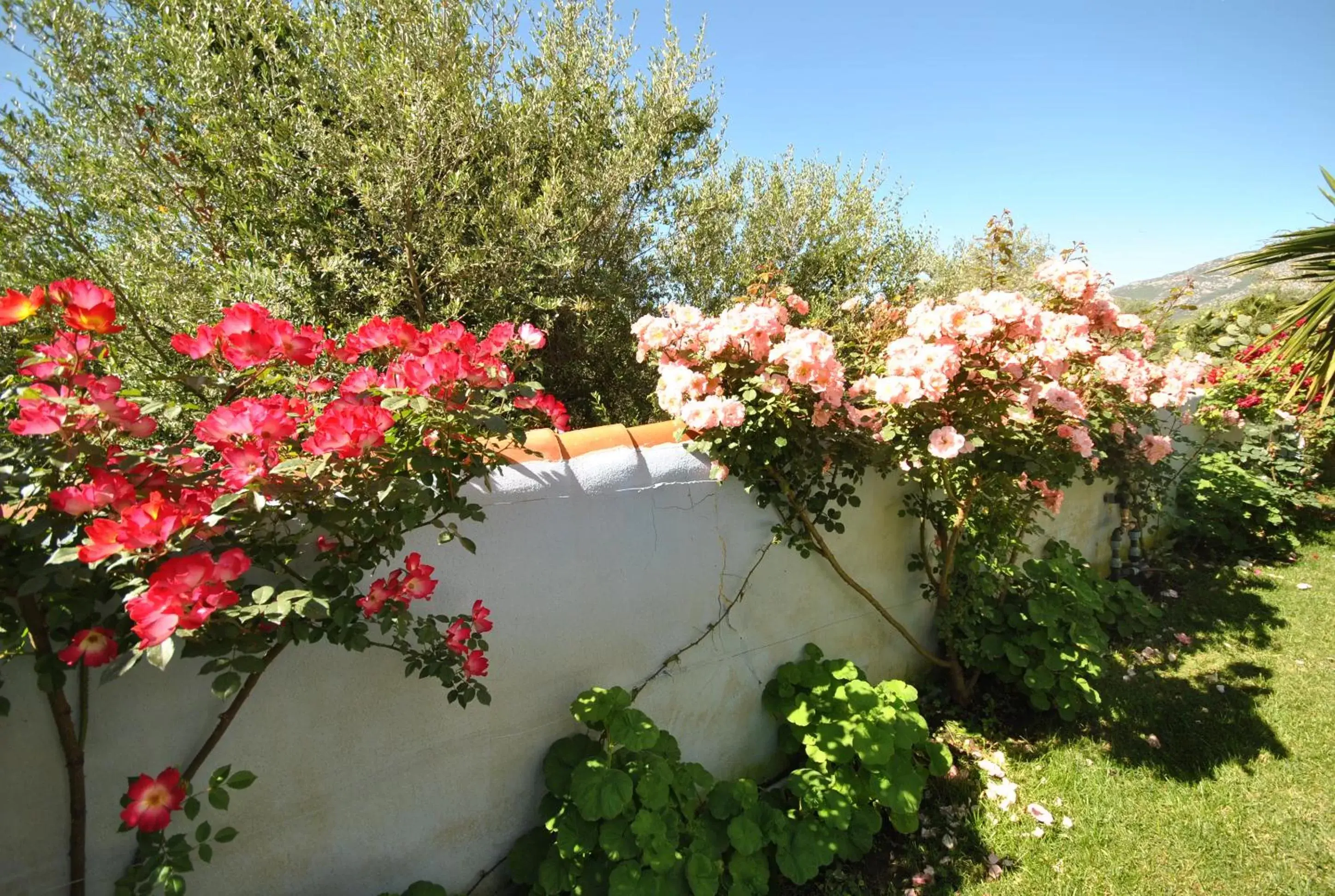 Garden view in Holiday Residence Rifugio