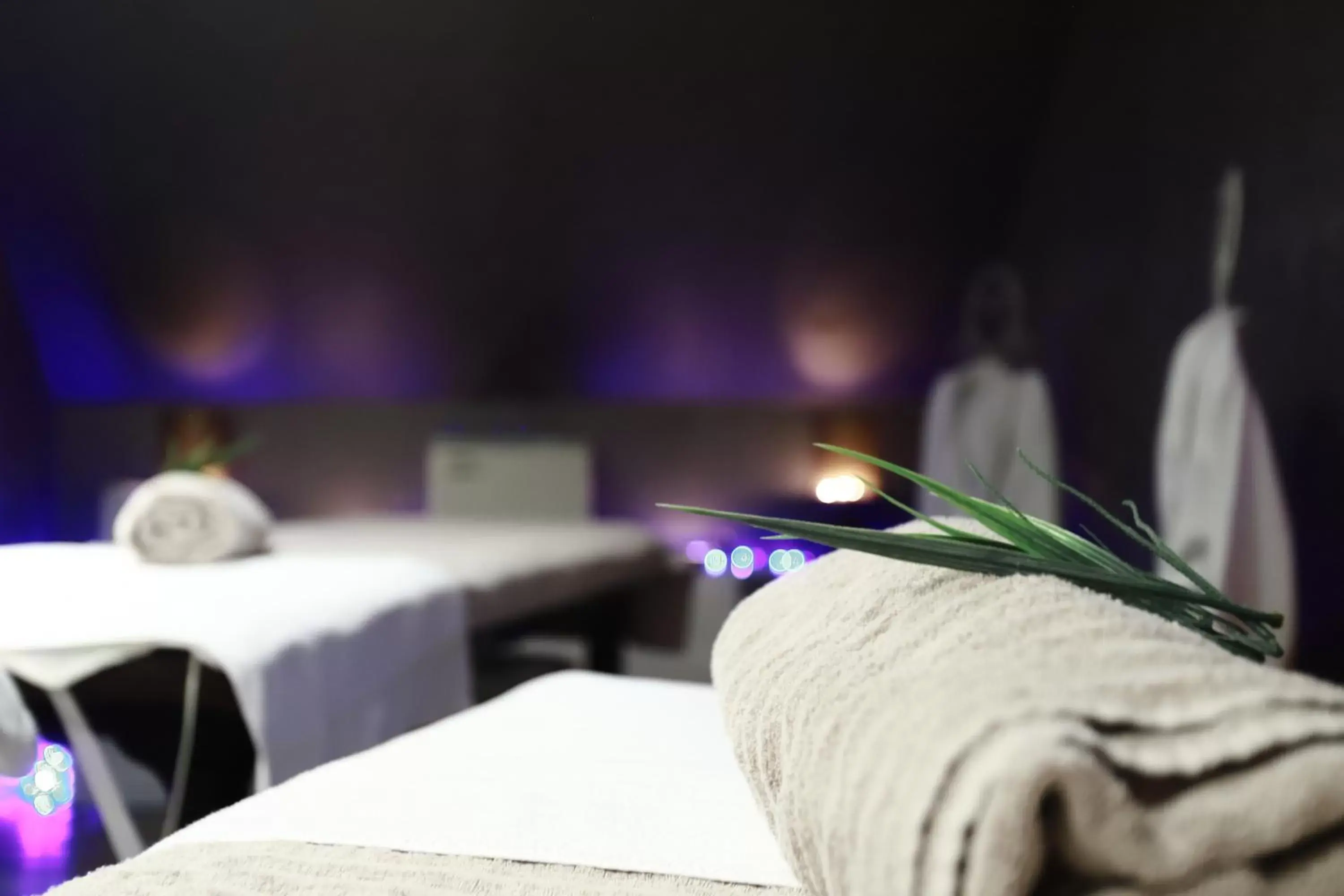 Massage in Hôtel Antares & Spa