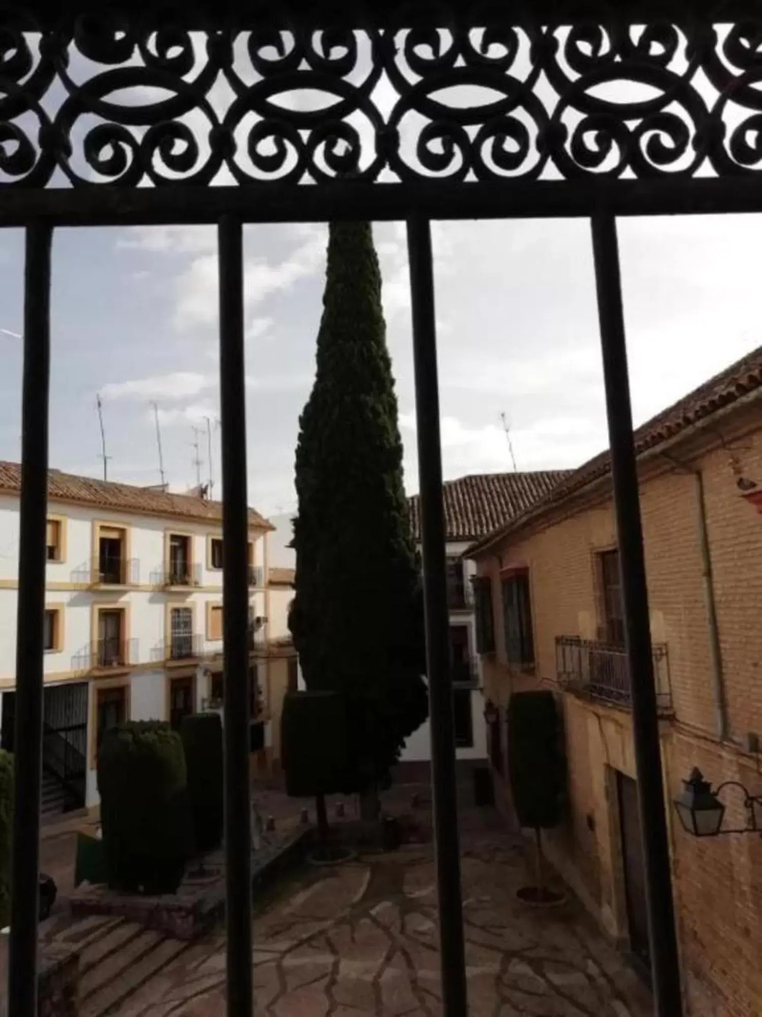 View (from property/room) in Hotel Plateros View (from property/room) in Hotel Plateros