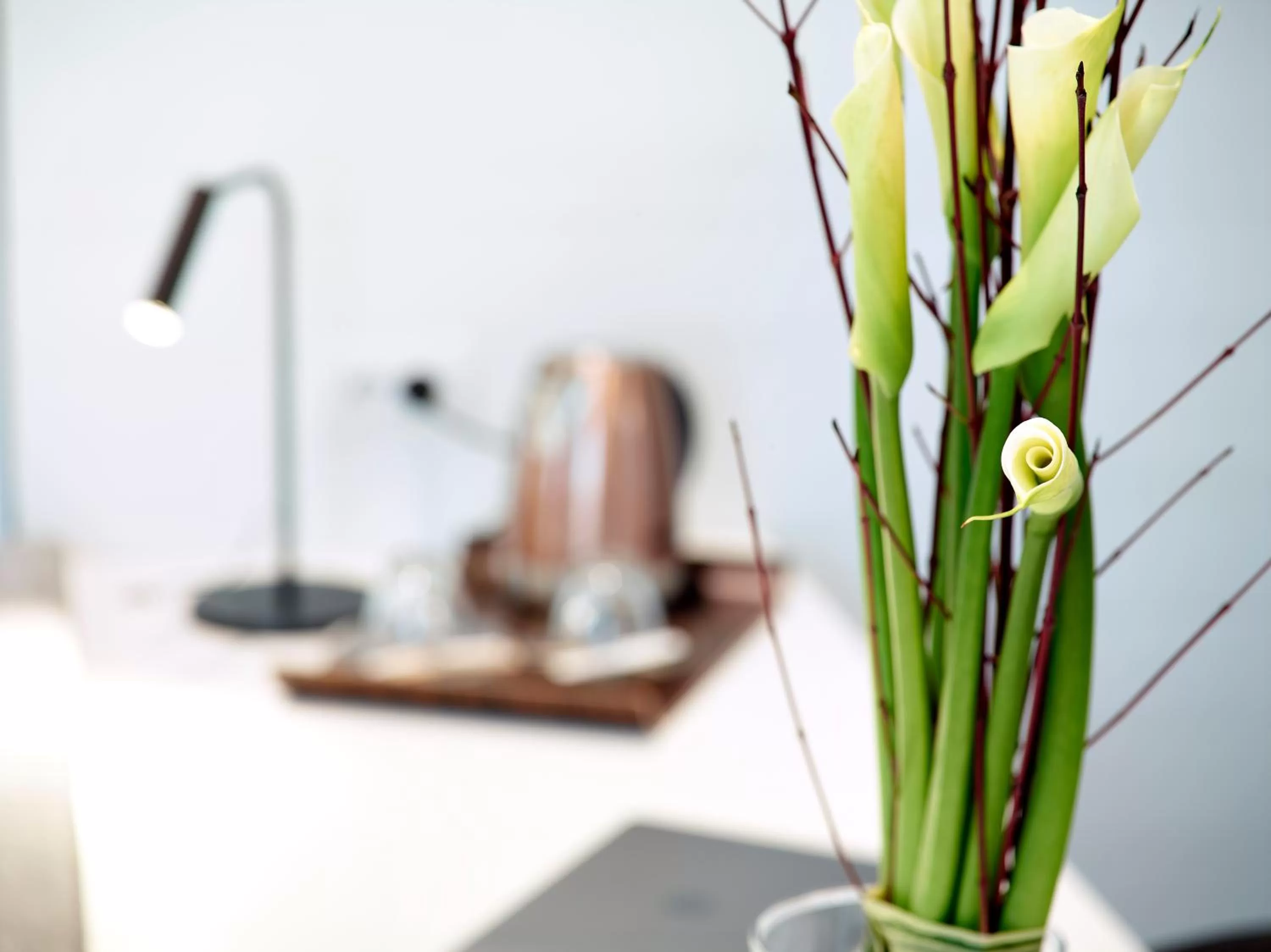 Coffee/tea facilities in Boutique Hotel Touring