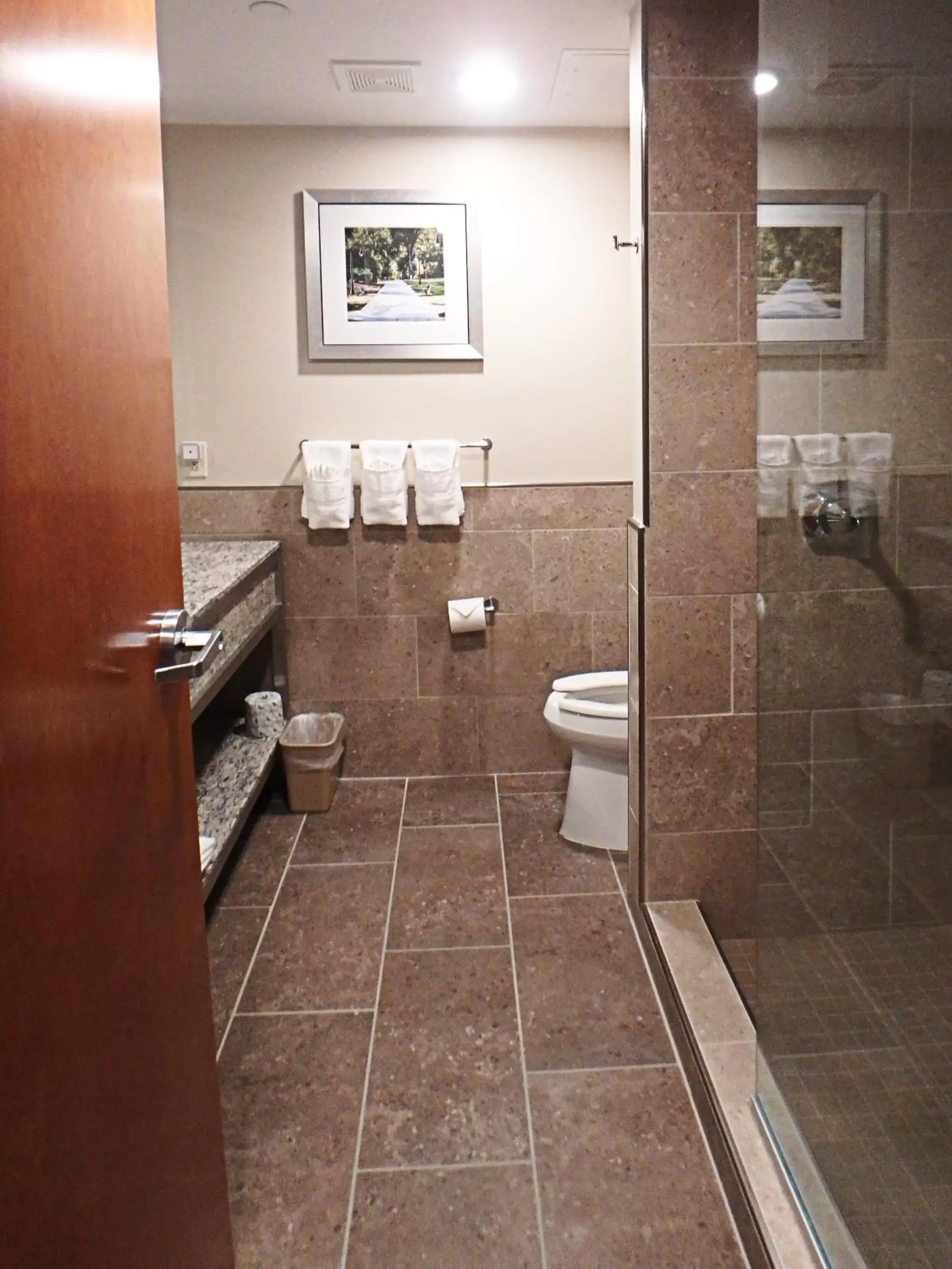 Toilet, Bathroom in Wyndham Garden State College