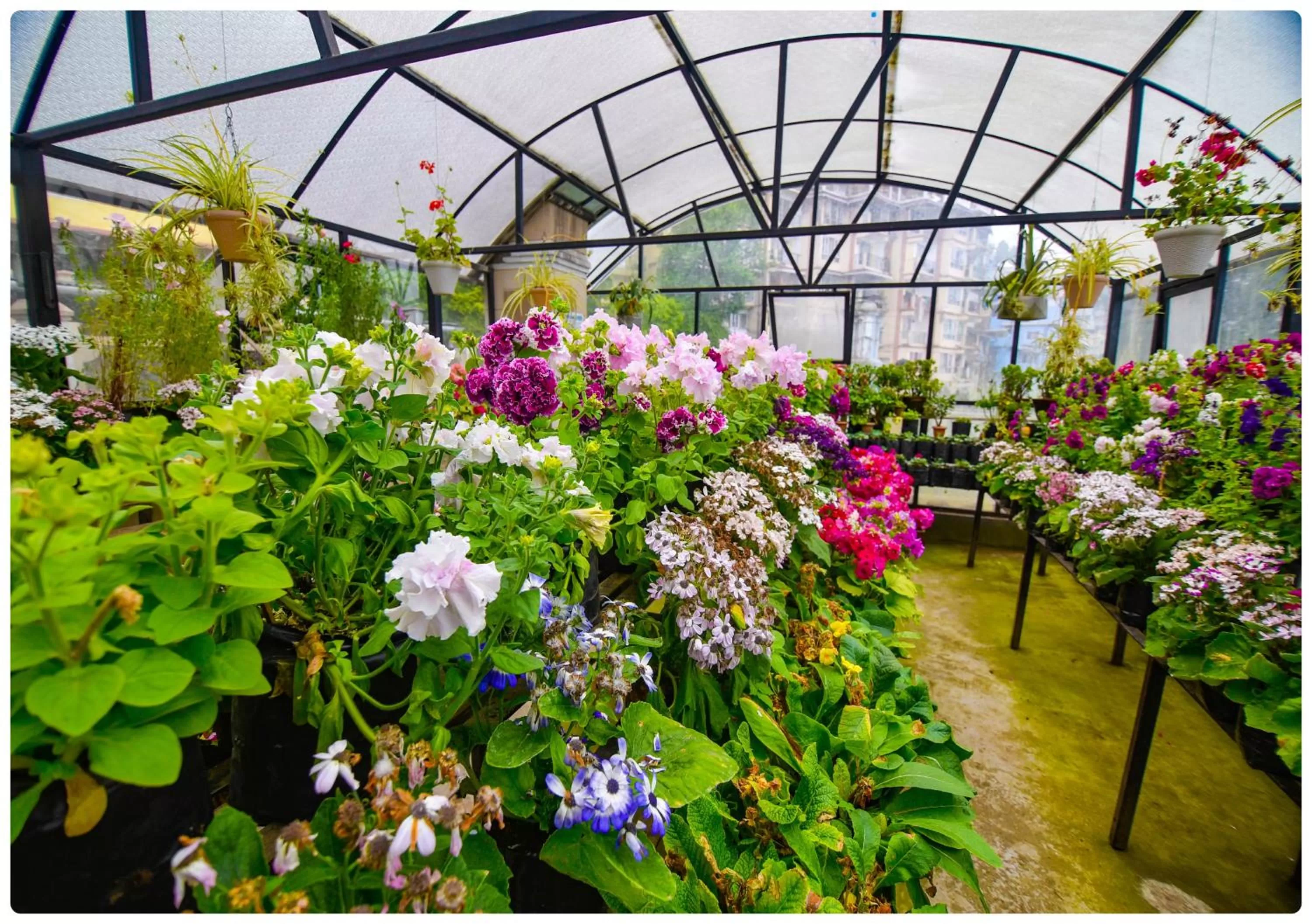 Garden view in Cedar Inn