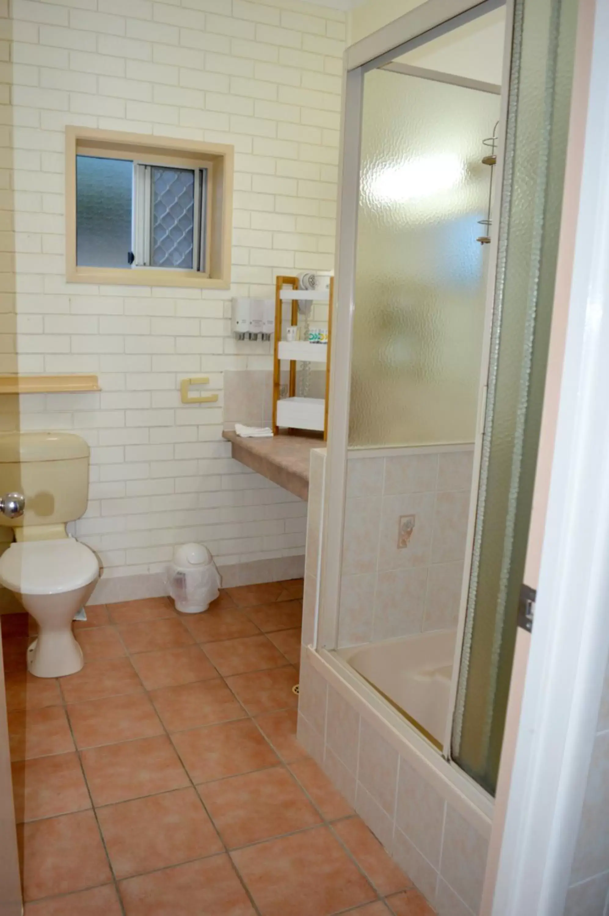 Shower, Bathroom in Mid City Motor Inn