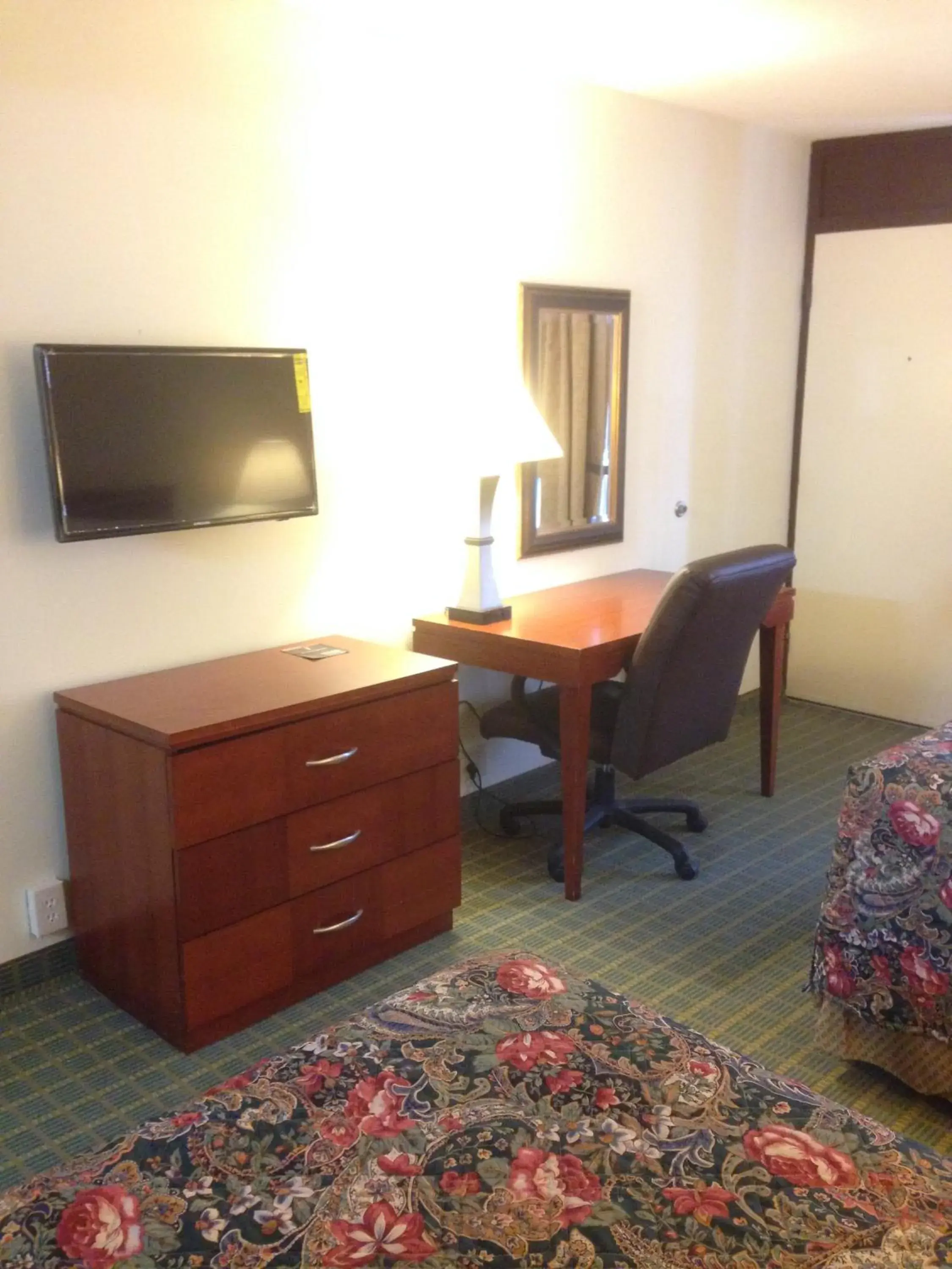 Bed, TV/Entertainment Center in Rodeway Inn & Suites Greensboro Southeast