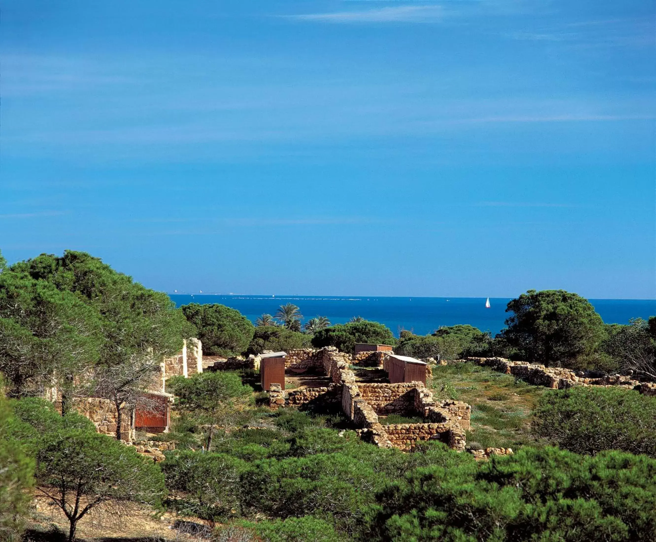 View (from property/room), Natural Landscape in Hotel Mediterráneo