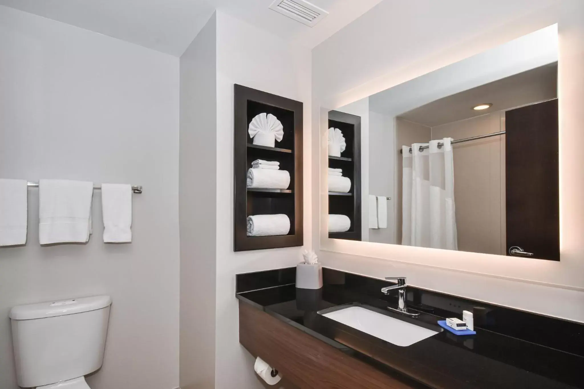 Photo of the whole room, Bathroom in Holiday Inn Express Charlotte Southeast - Matthews, an IHG Hotel