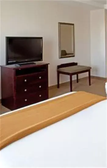 TV and multimedia, TV/Entertainment Center in Holiday Inn Express Texas City, an IHG Hotel