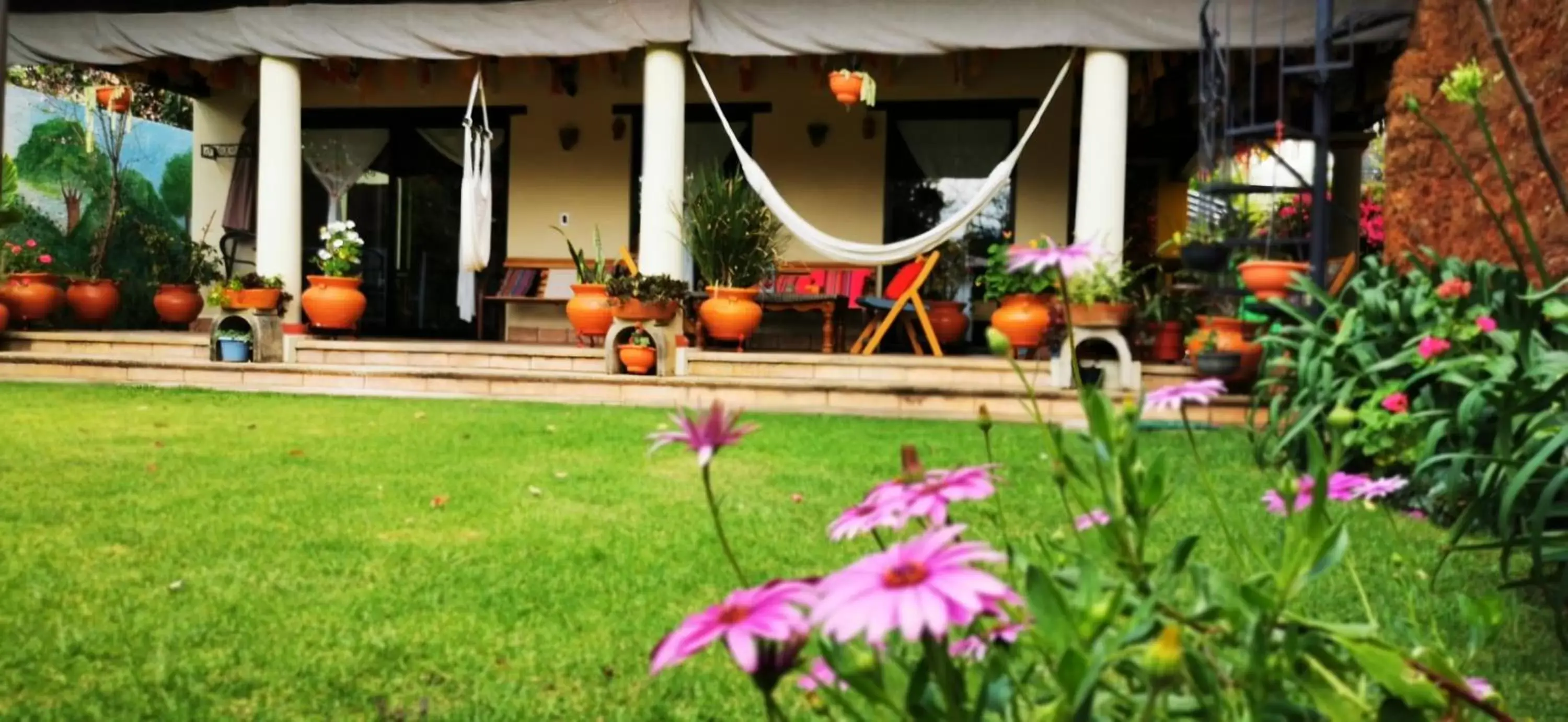 Area and facilities, Garden in Hotel Ocho Barrios