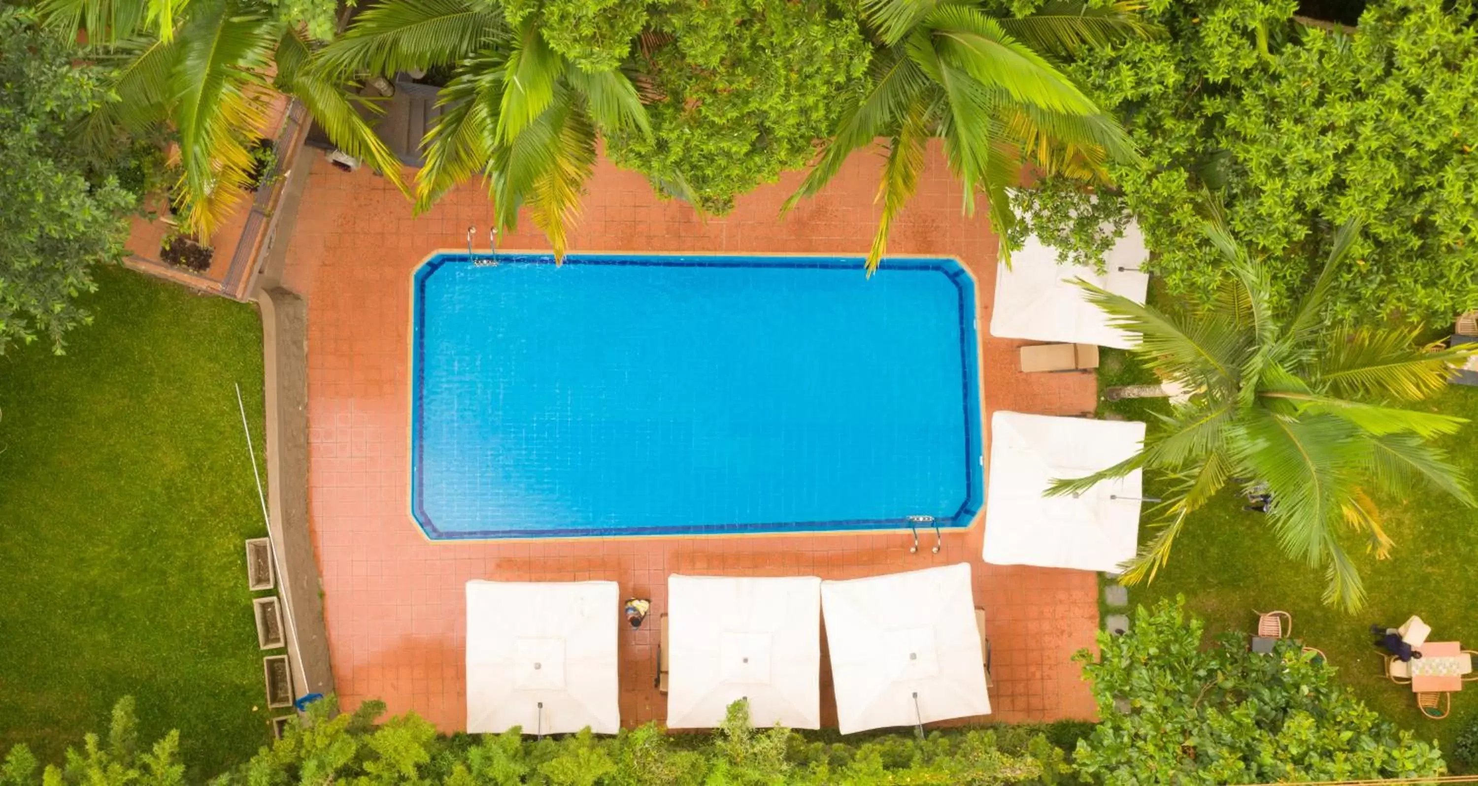 Garden, Pool View in Forest Cottages