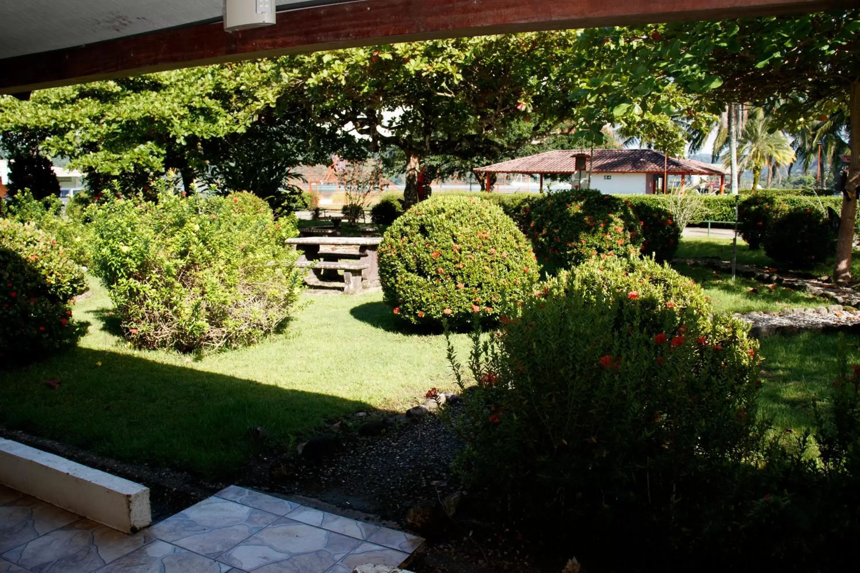 Garden view, Garden in Hotel Samoa del Sur