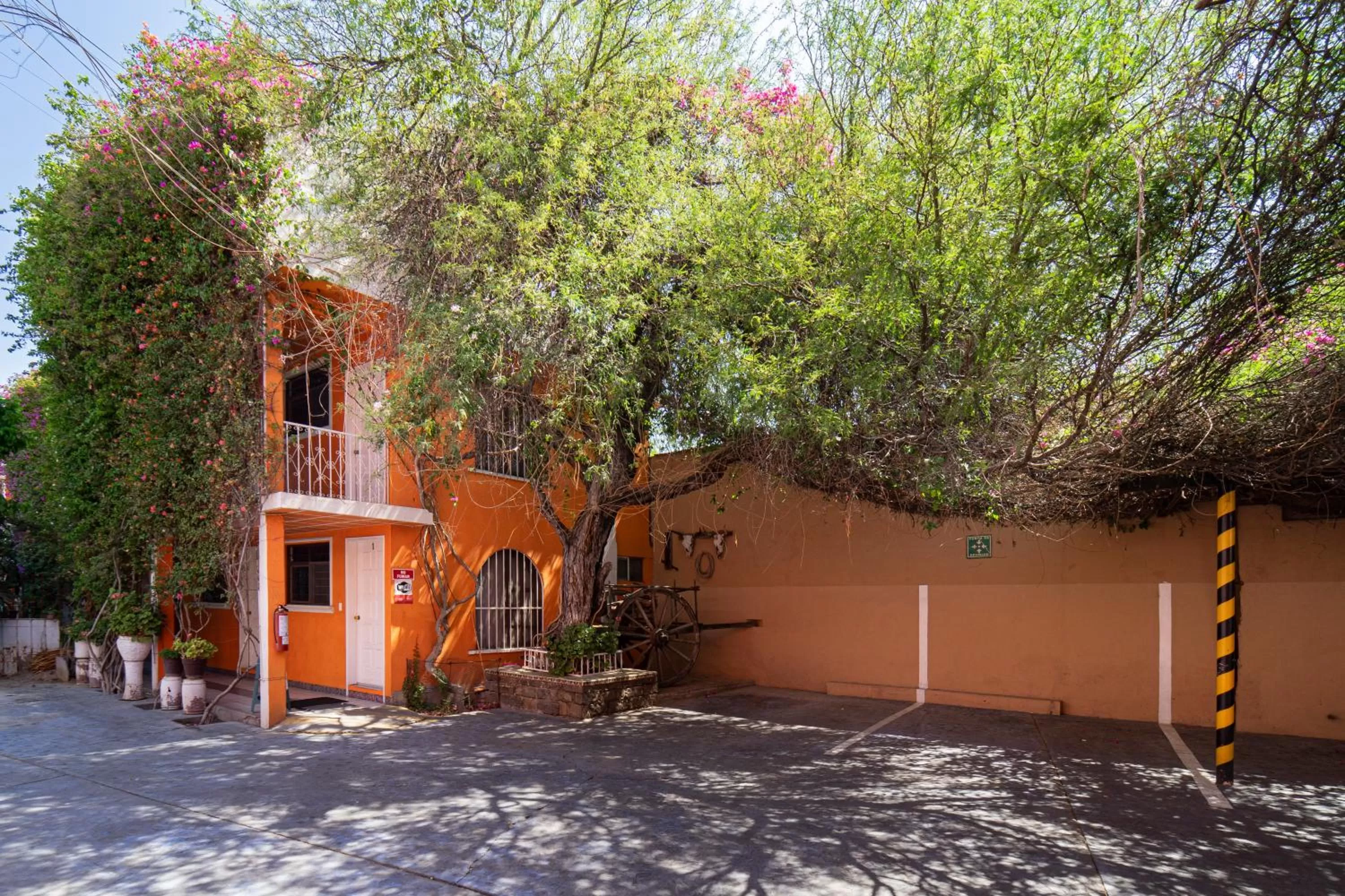 Property building in Hotel Posada Bugambilias