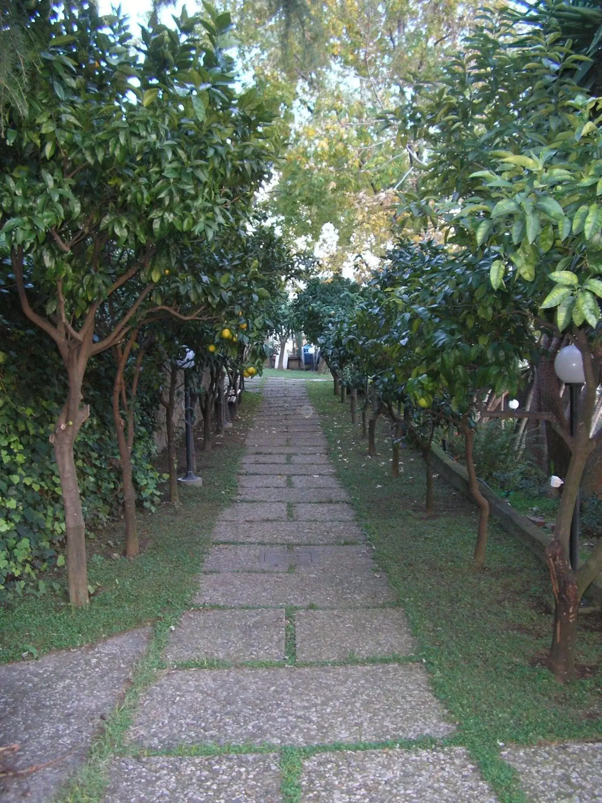 Garden in Hotel Villa Poseidon & Events