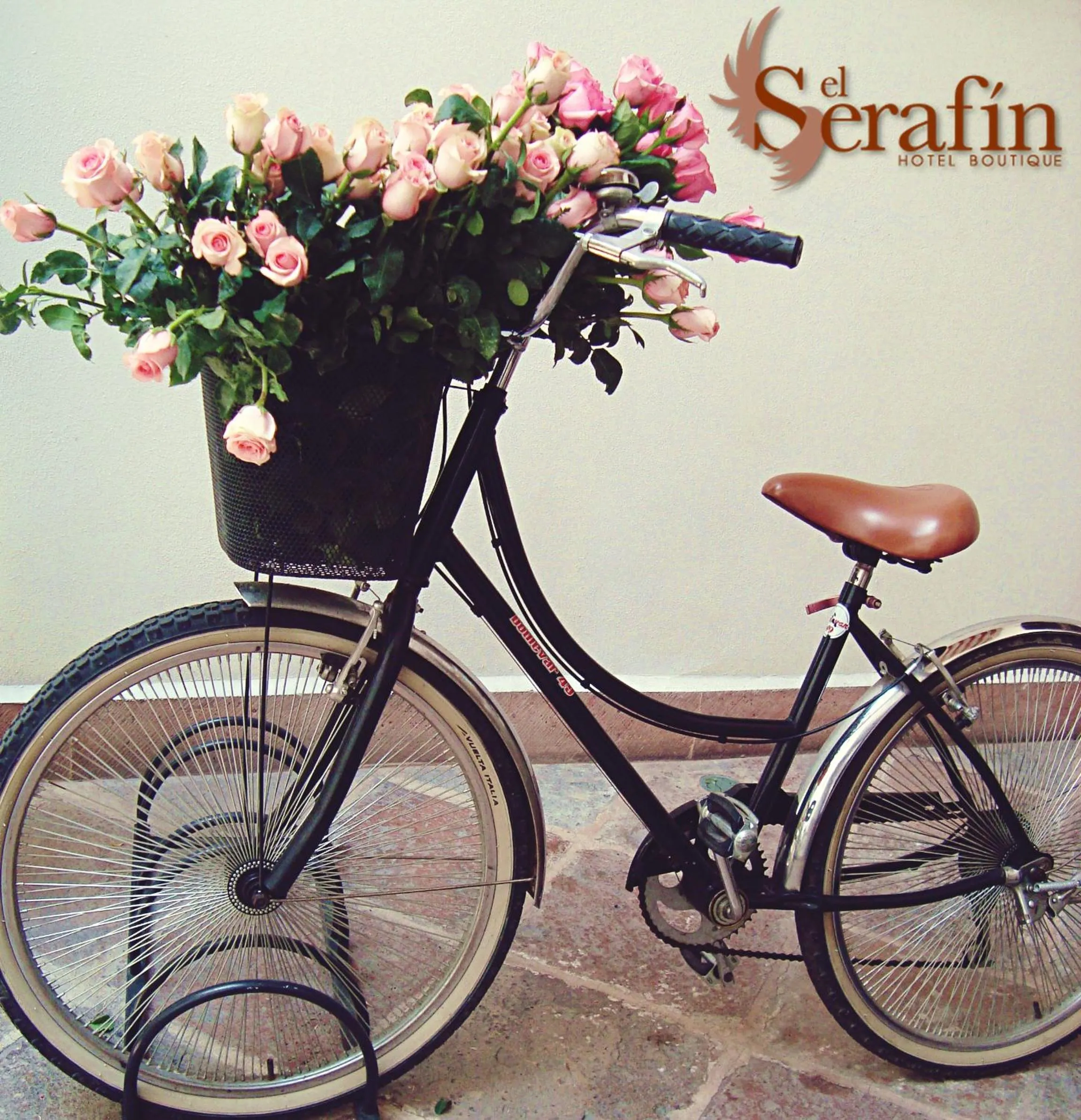 Activities in El Serafin Hotel Boutique