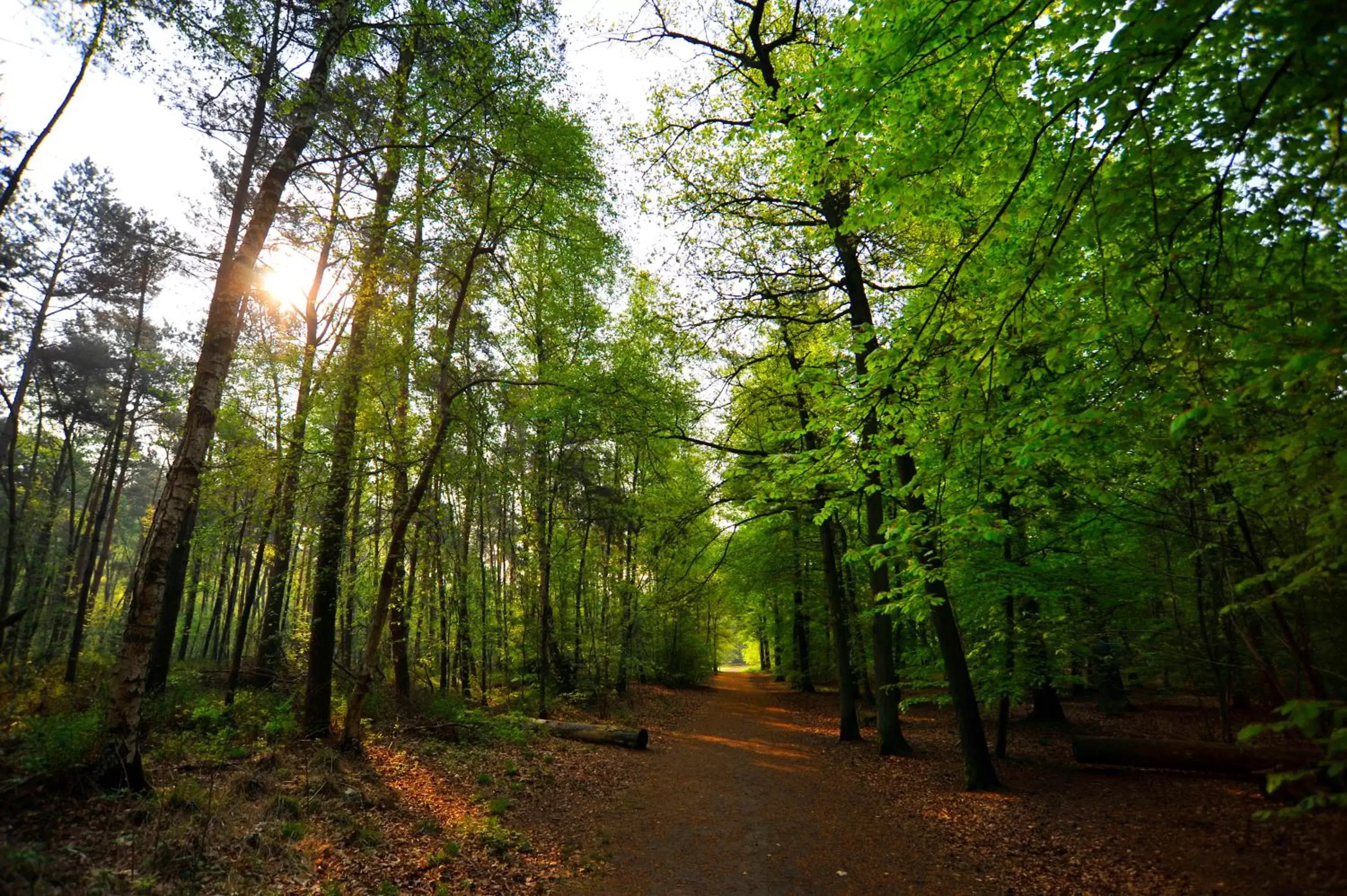 Natural landscape in Parkhotel Mastbosch Breda