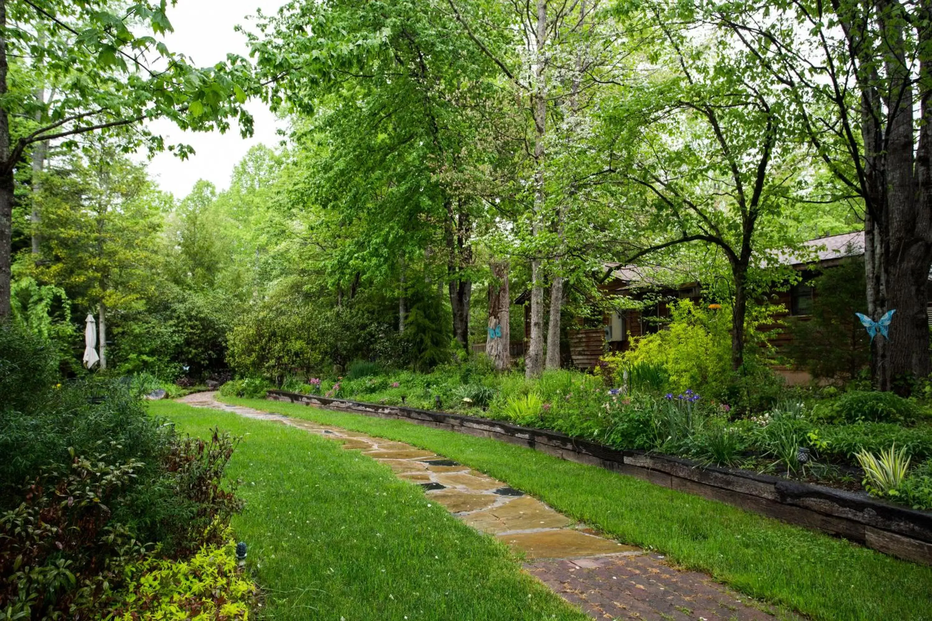 Garden in Forrest Hills Mountain Resort