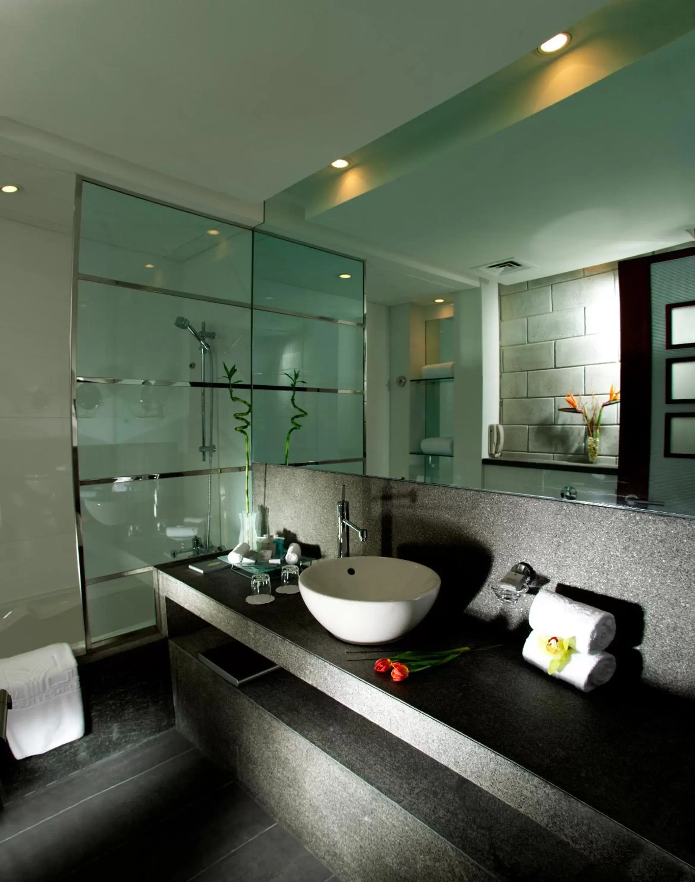 Bathroom in Villa Rotana - Dubai