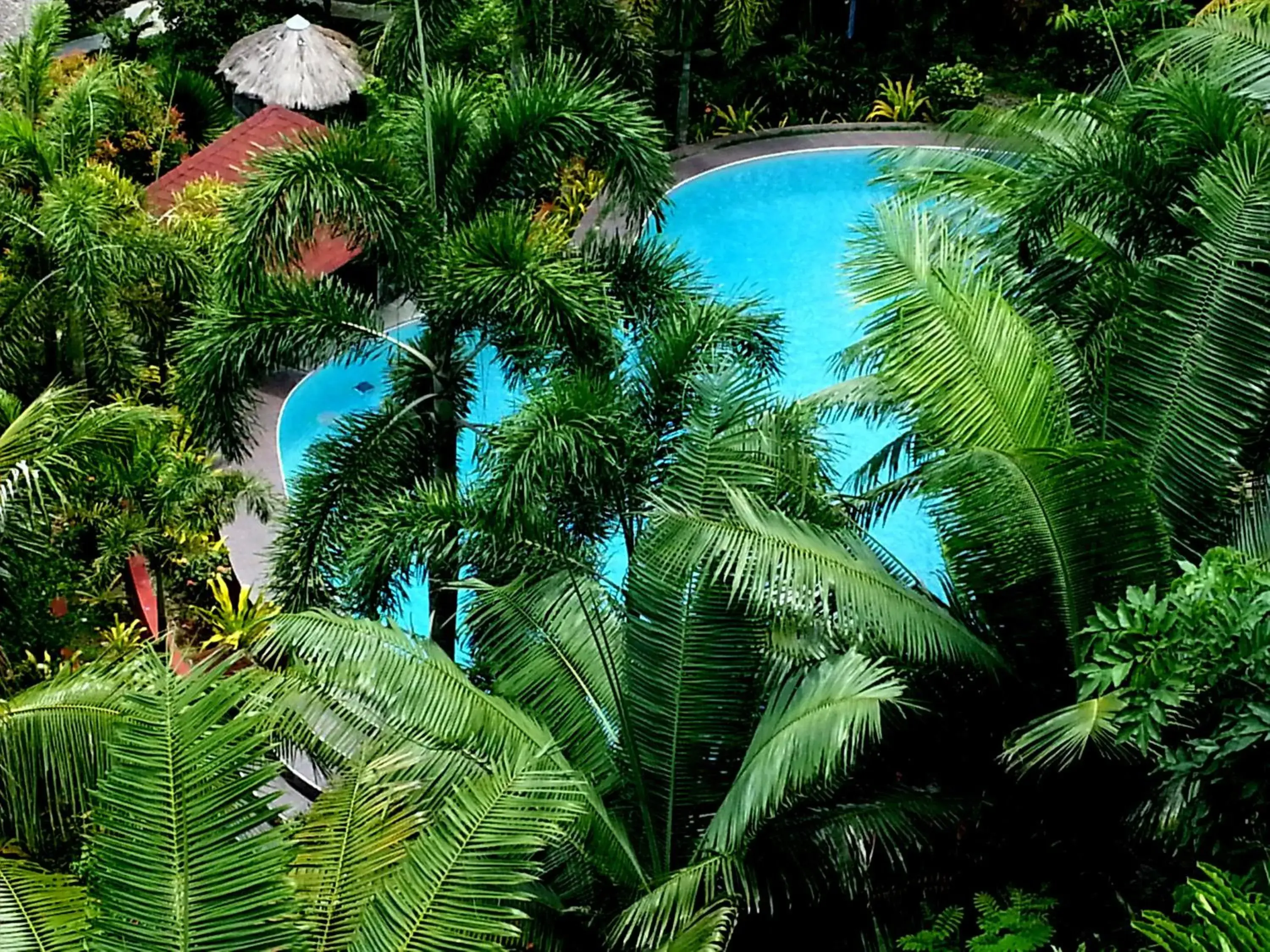 Day, Pool View in Hof Gorei Beach Resort Davao