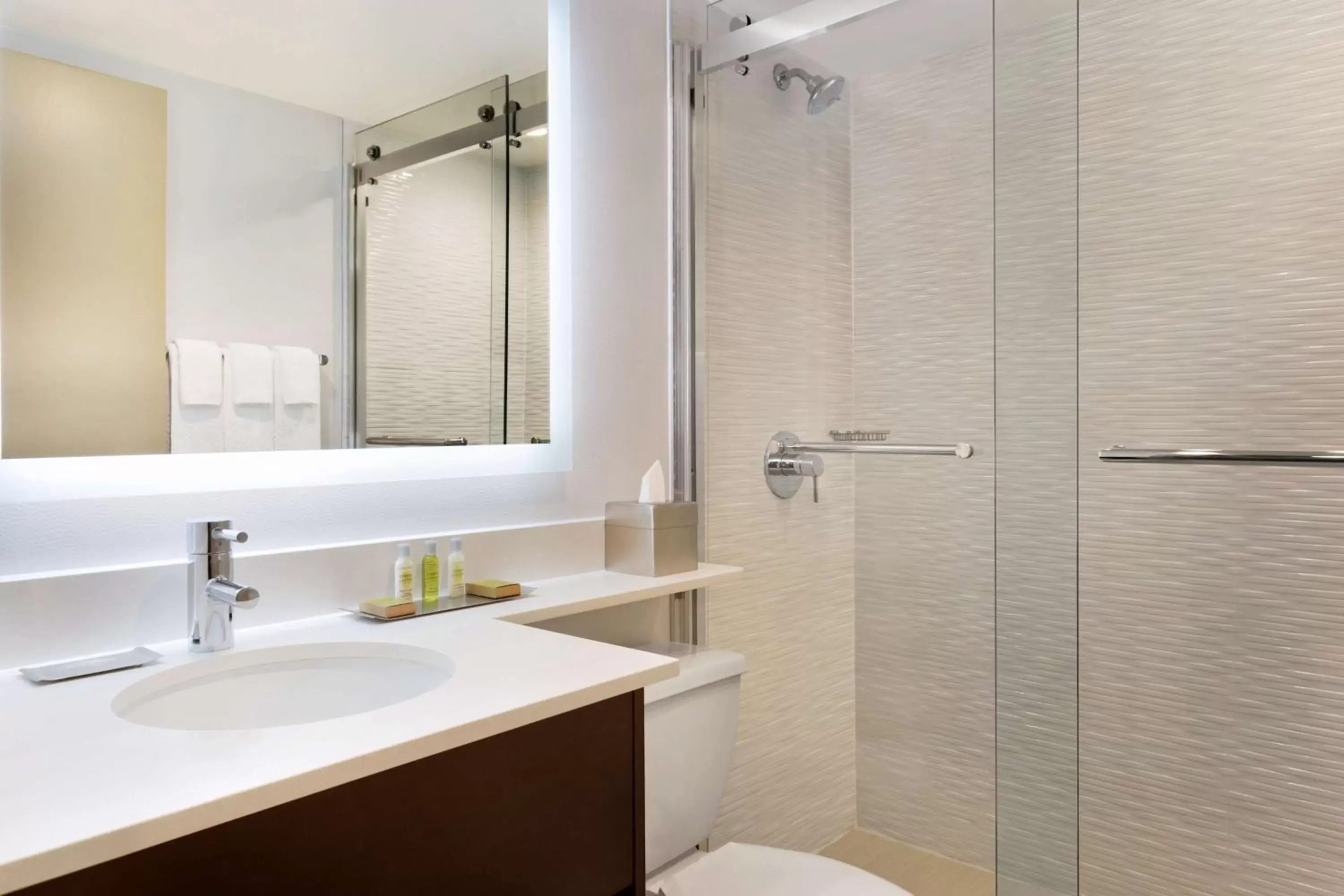Bathroom in DoubleTree by Hilton Hotel Toronto Airport West