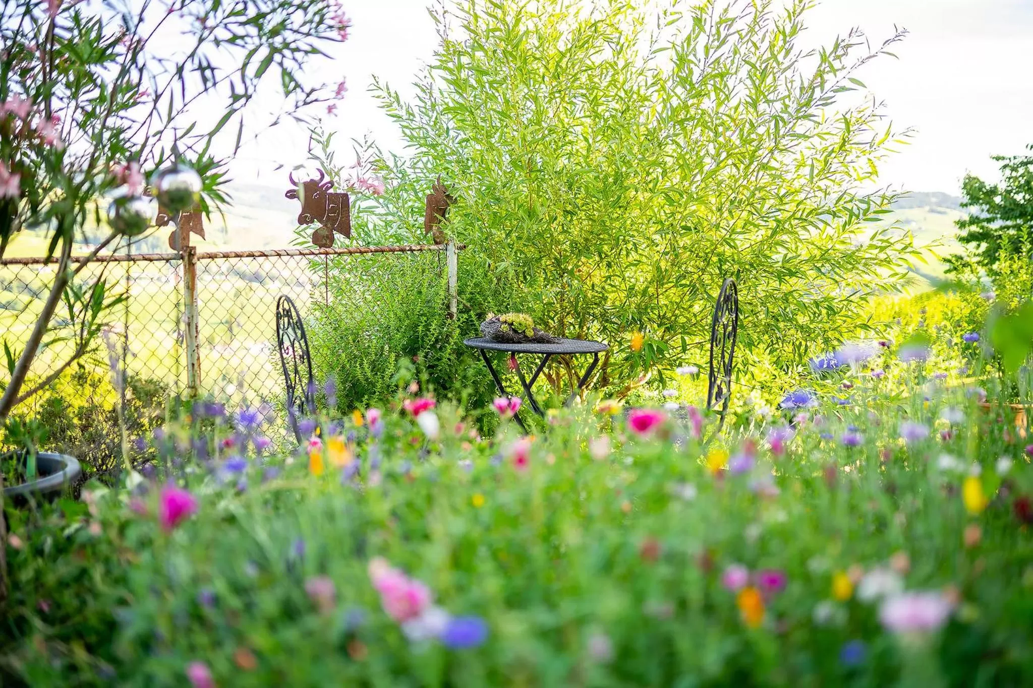 Garden in Gästehaus Aemisegg