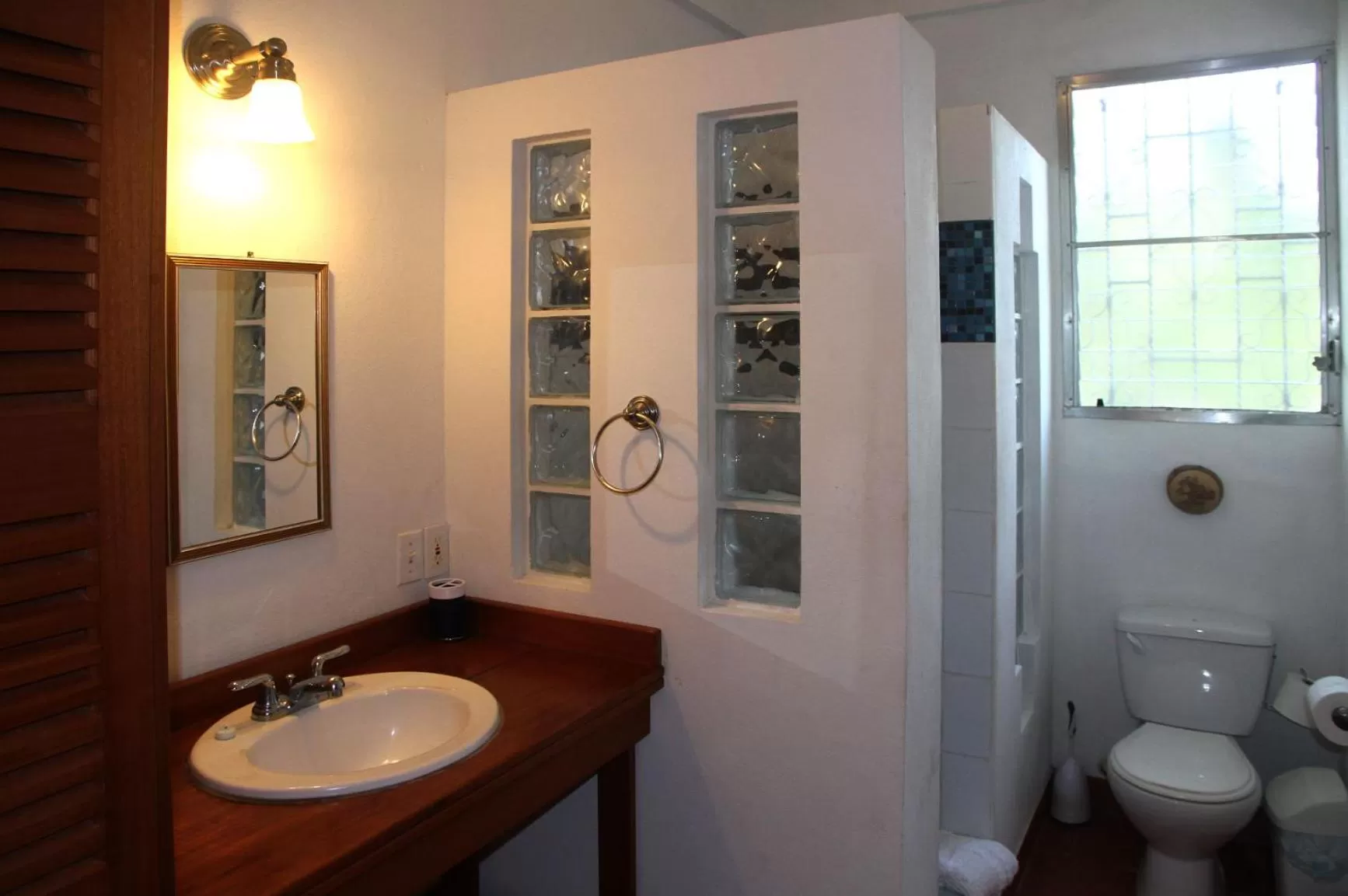 Shower in BlueBelize B&B