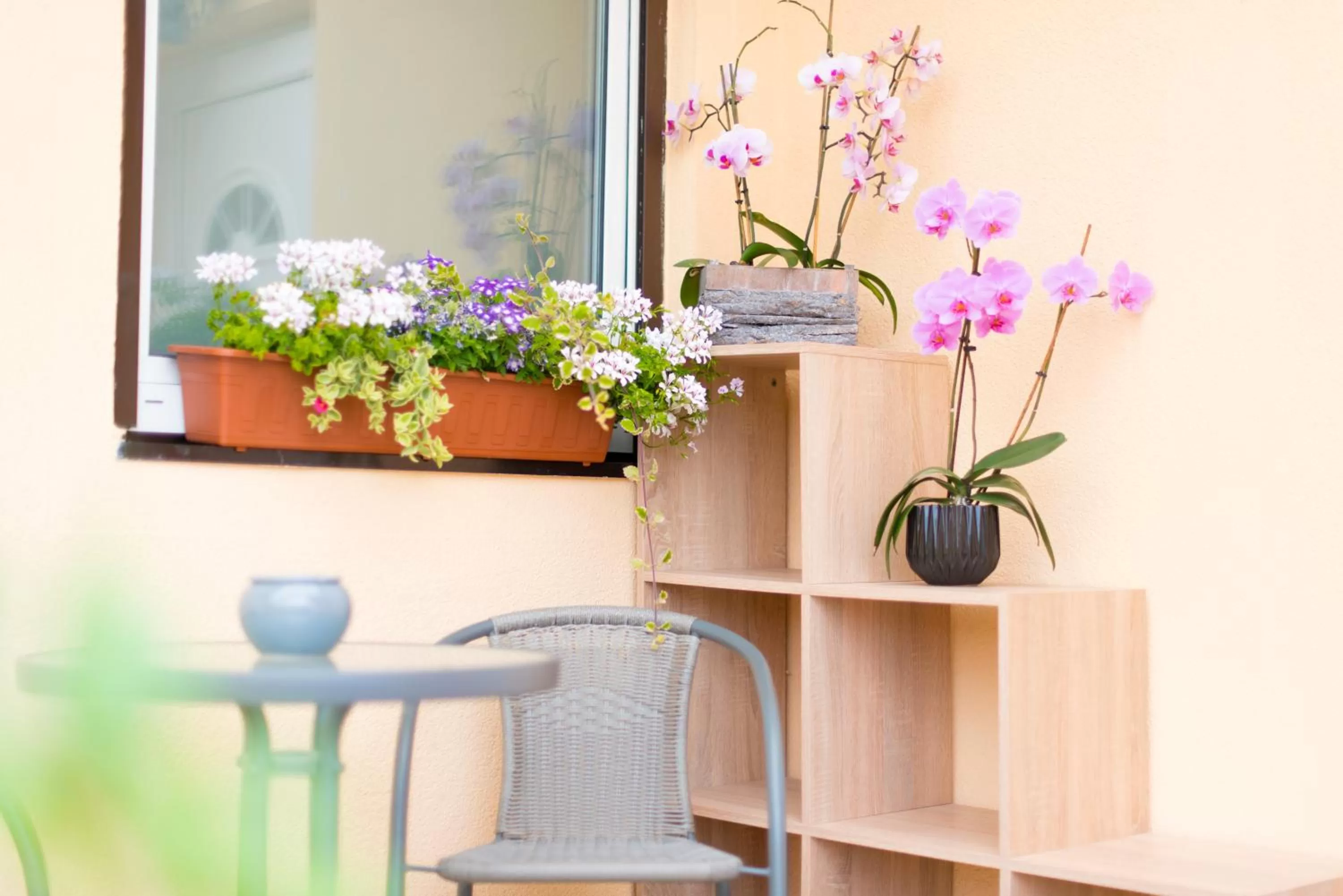 Ferienwohnungen und Zimmer Yassi