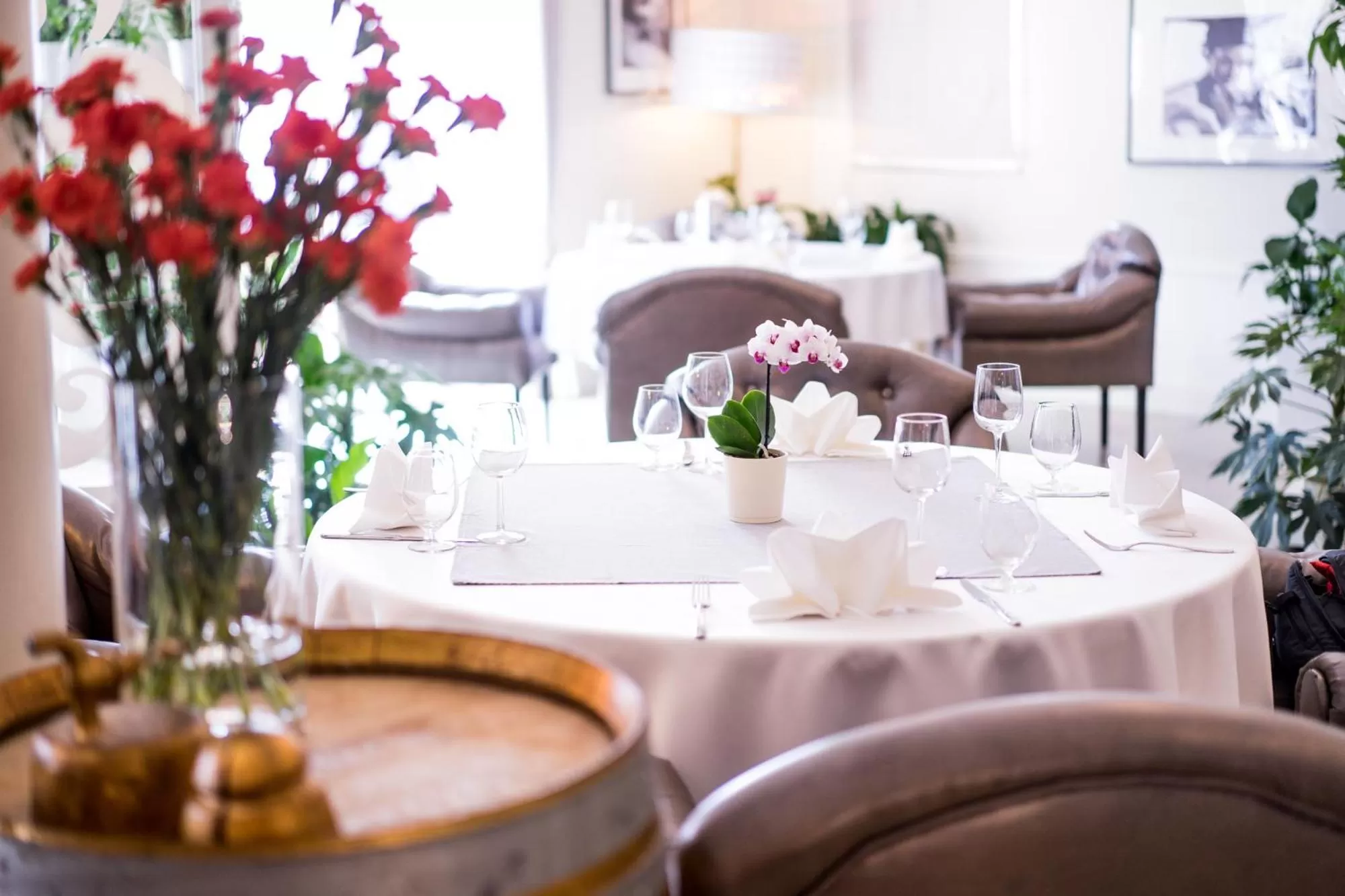 Restaurant/places to eat in Hotel Luxor