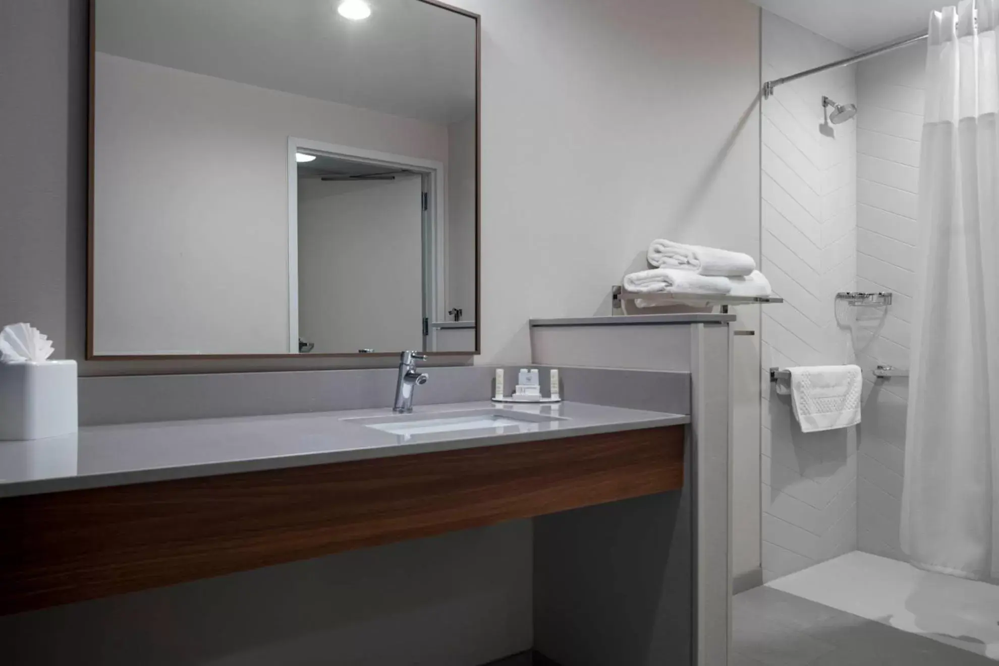 Public Bath, Bathroom in Fairfield by Marriott Inn & Suites Dallas DFW Airport North, Irving