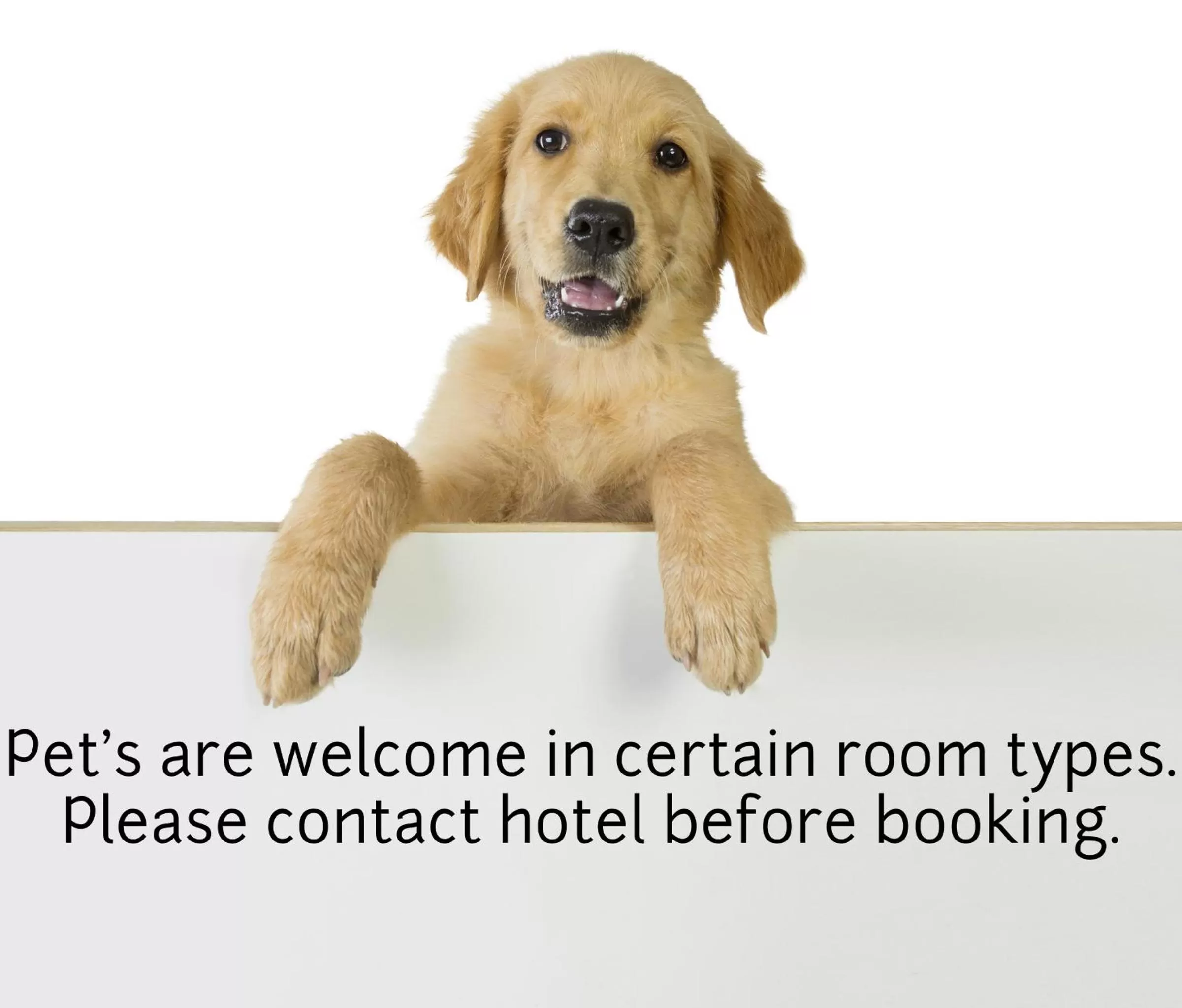 Pets in Surf City Inn & Suites