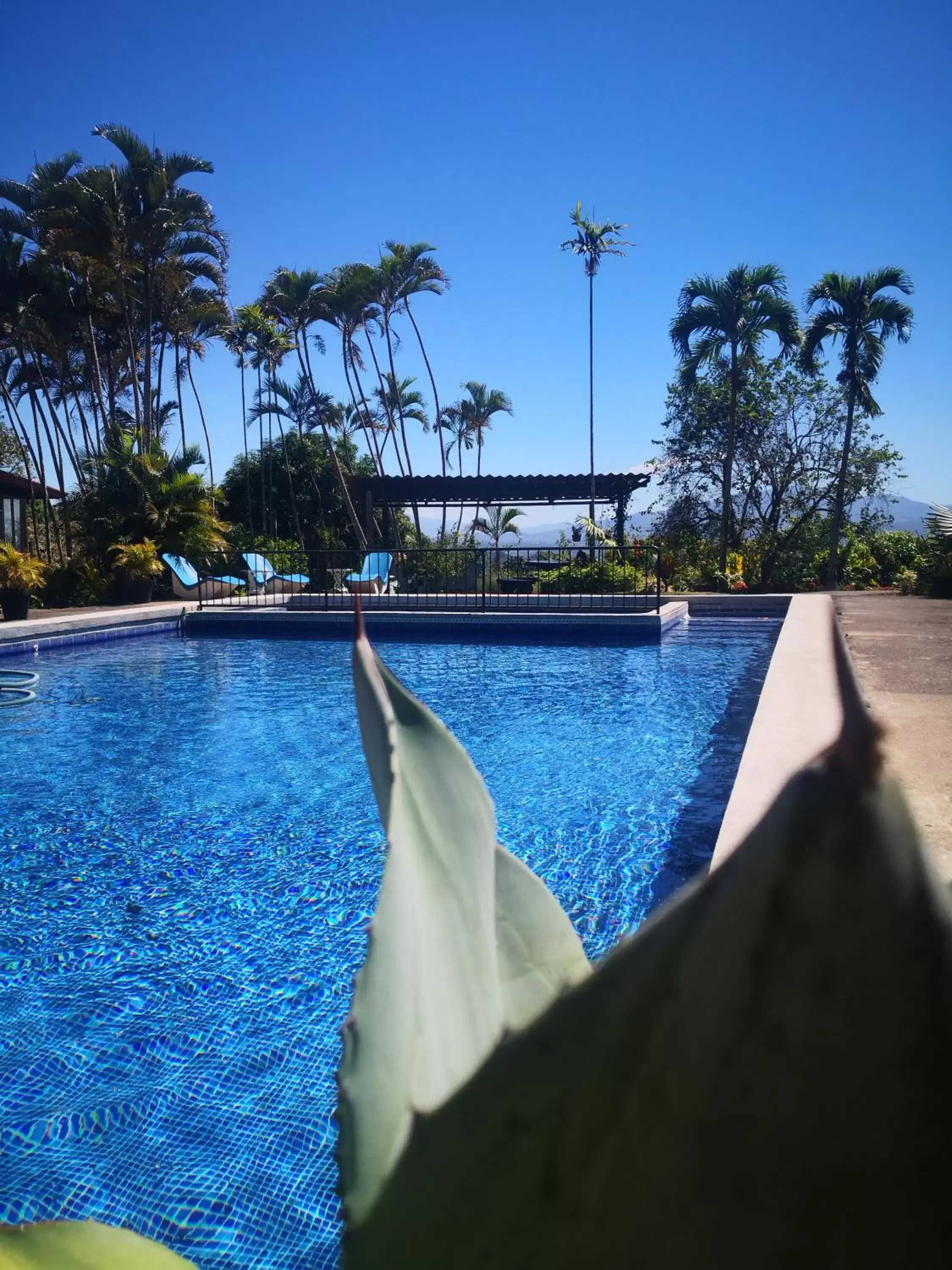 Swimming Pool in Hotel Villas de la Colina