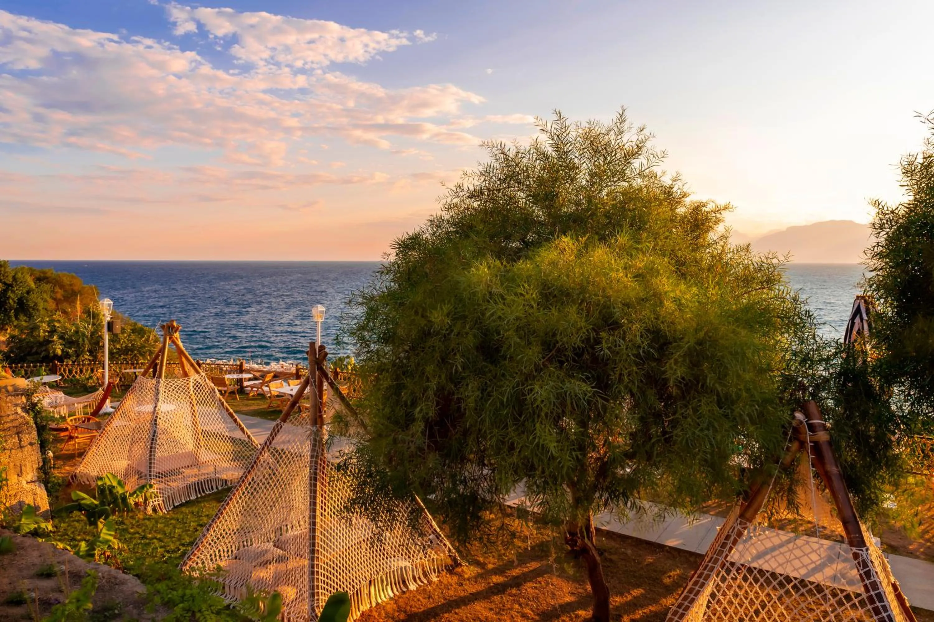 Garden in Lucky Monkey Hotel