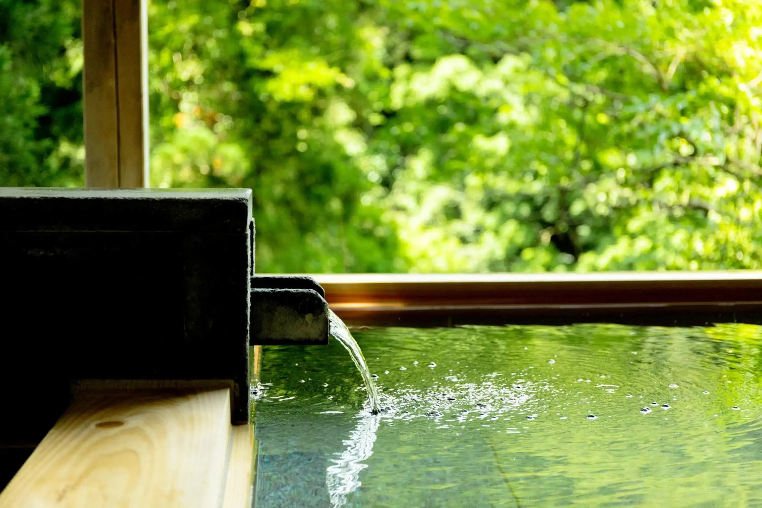 Hot Spring Bath in Ohanami Kyubei