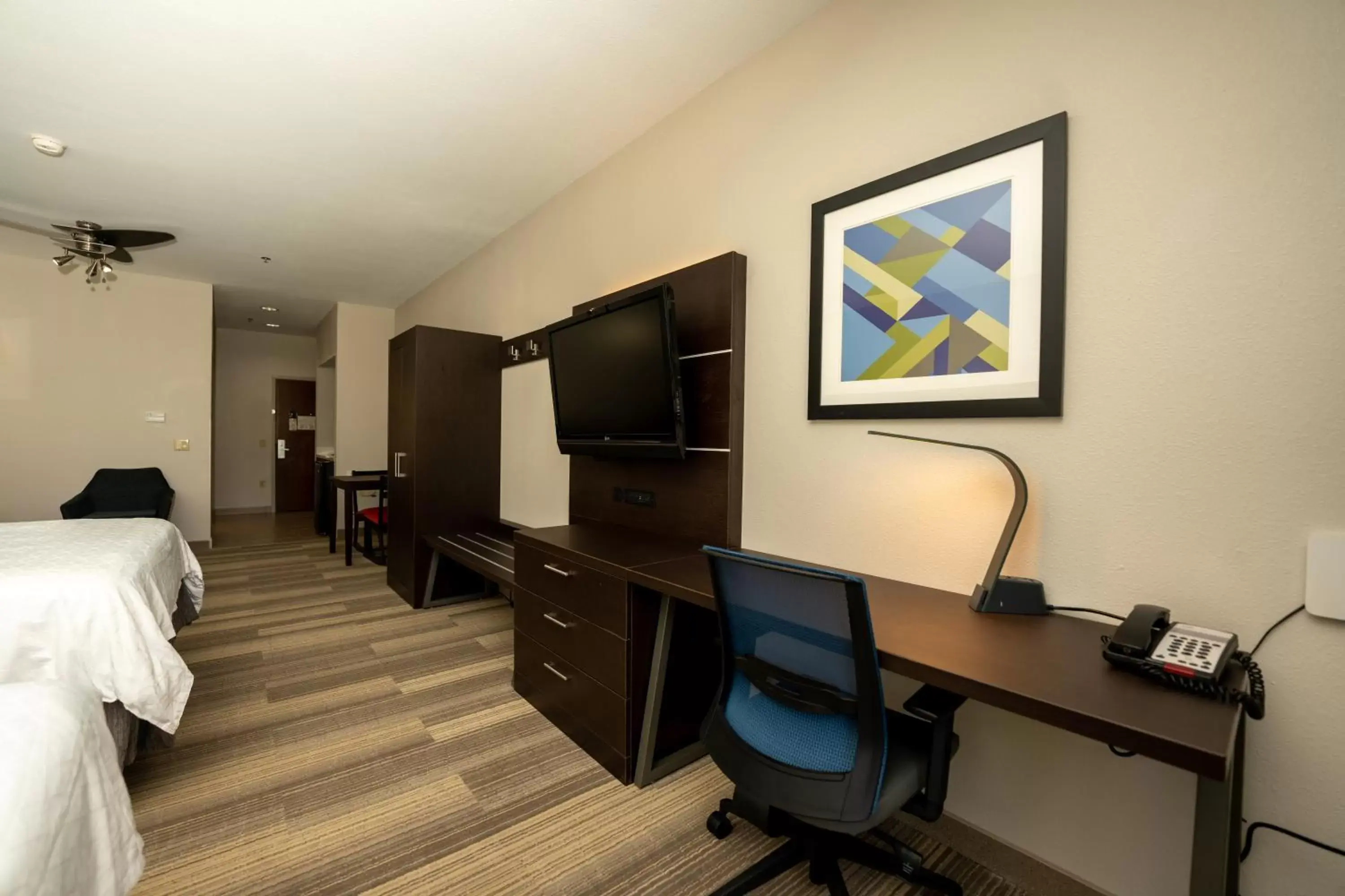 Bedroom, TV/Entertainment Center in Holiday Inn Express & Suites Deer Park, an IHG Hotel