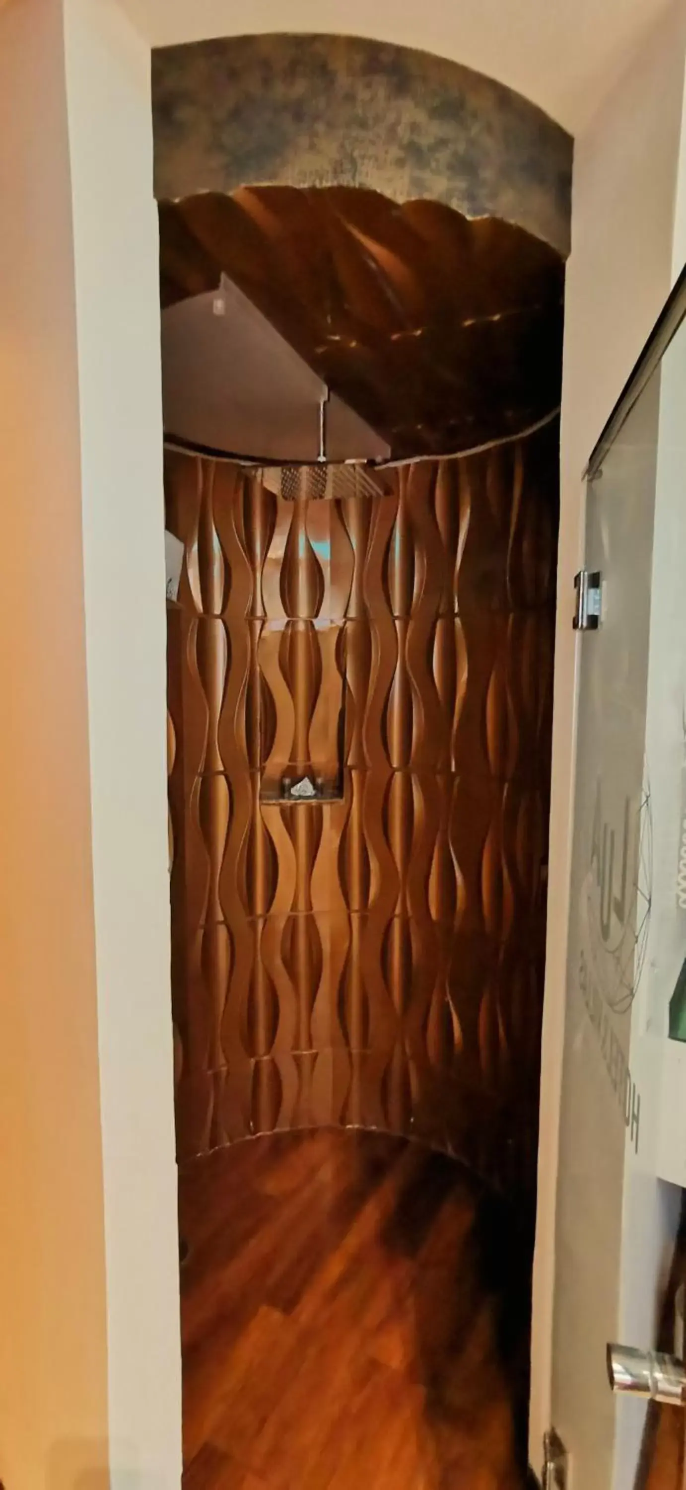 Shower in Hotel Lua