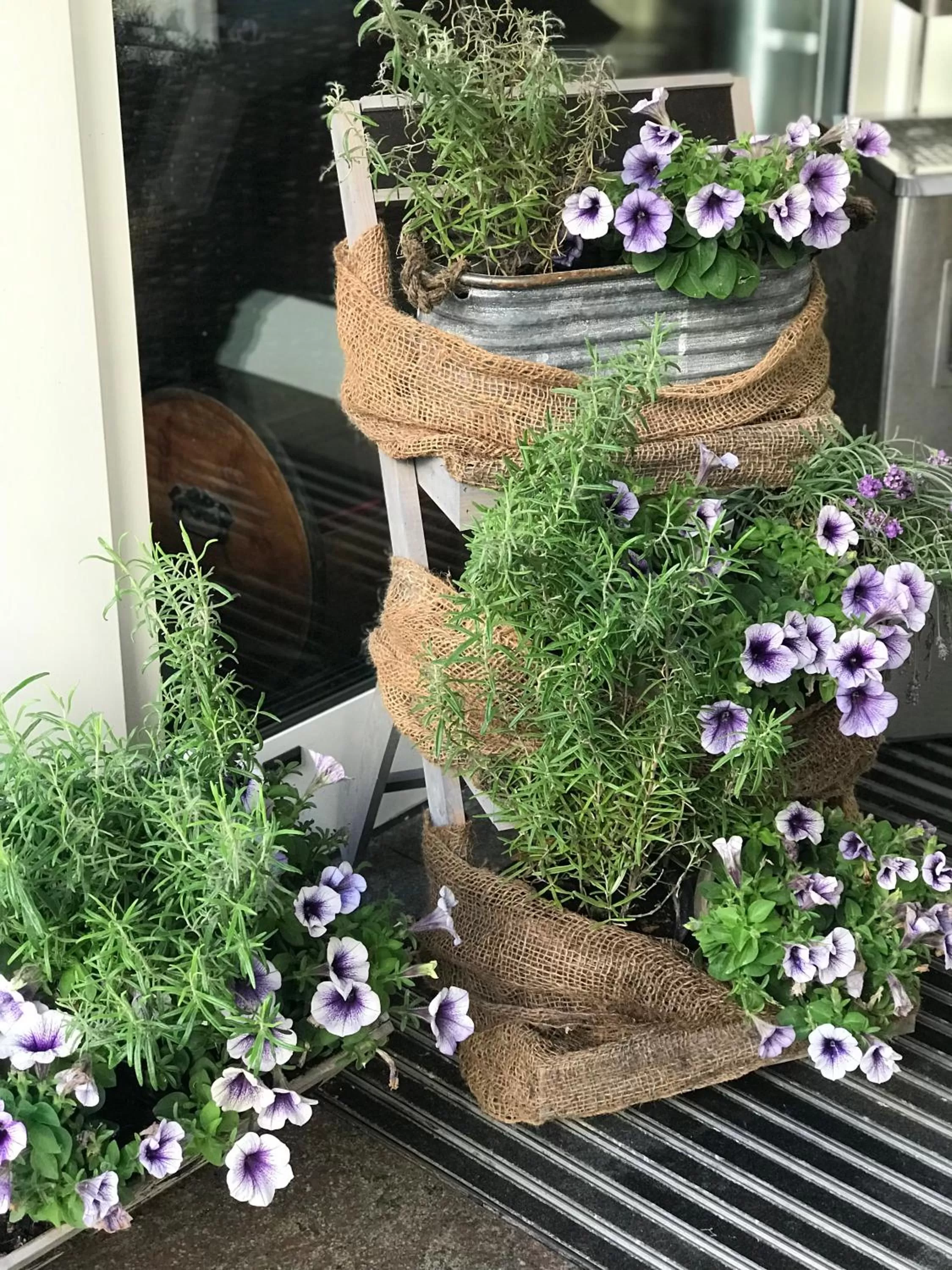 Property building in Hotel Cascade Superior