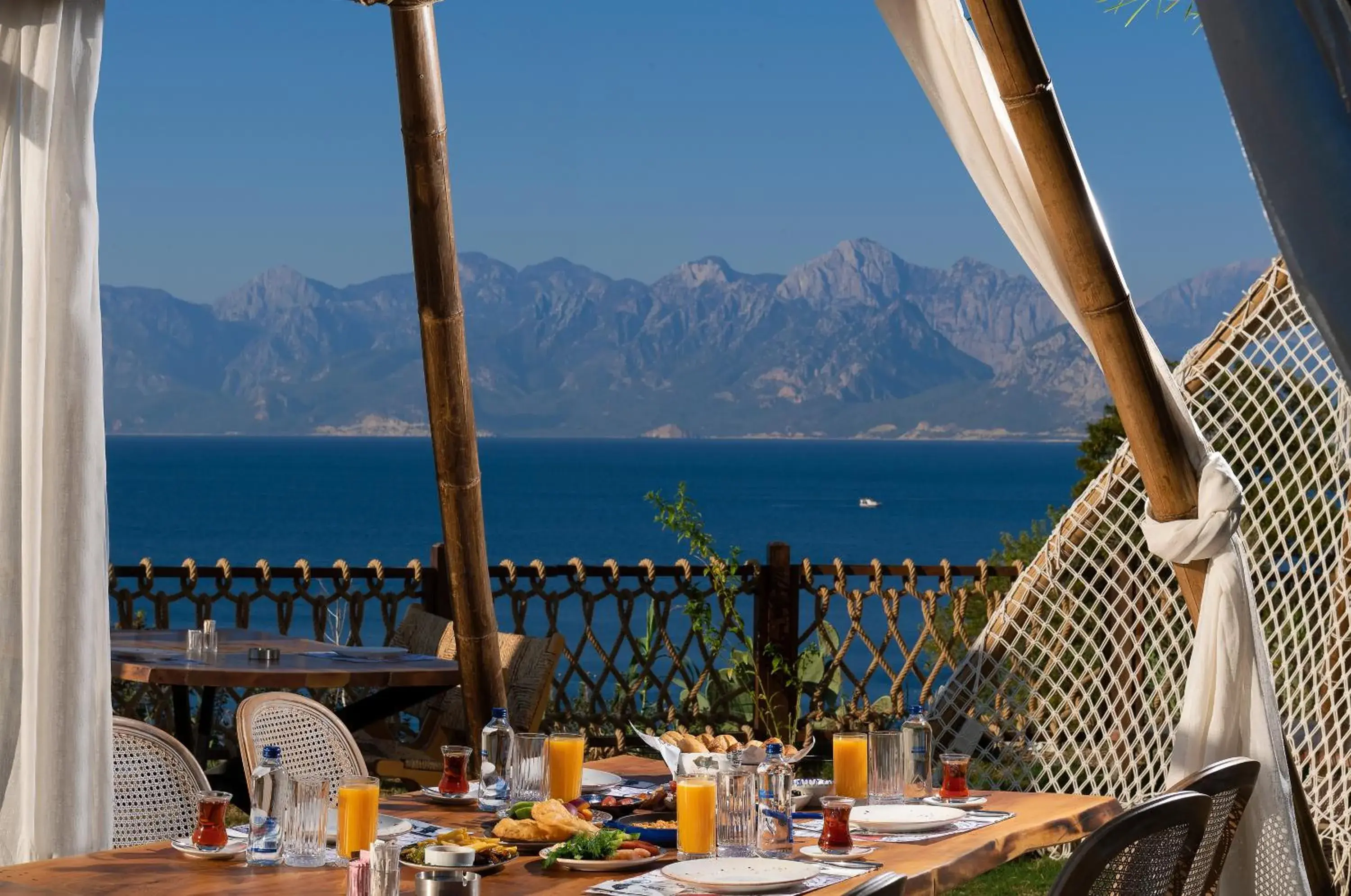 Food and drinks in Lucky Monkey Hotel Food and drinks in Lucky Monkey Hotel