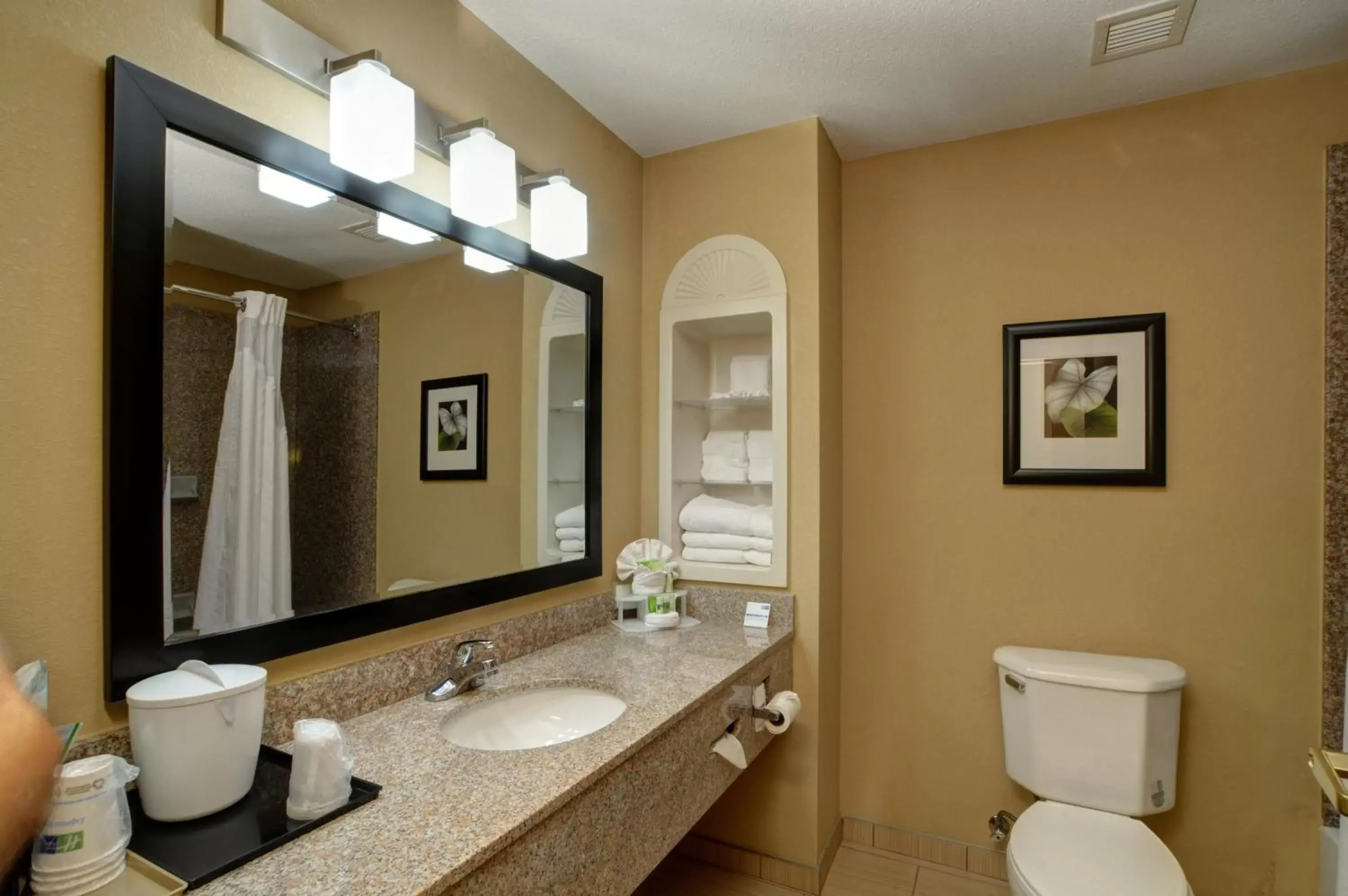 Bathroom in Holiday Inn Express & Suites Midwest City by IHG Bathroom in Holiday Inn Express & Suites Midwest City by IHG