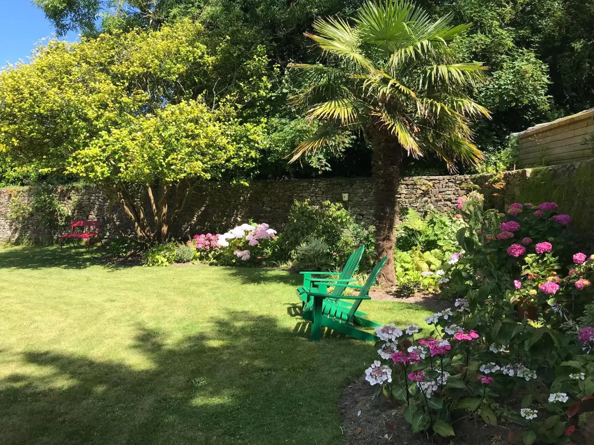 Garden in Hotel de France