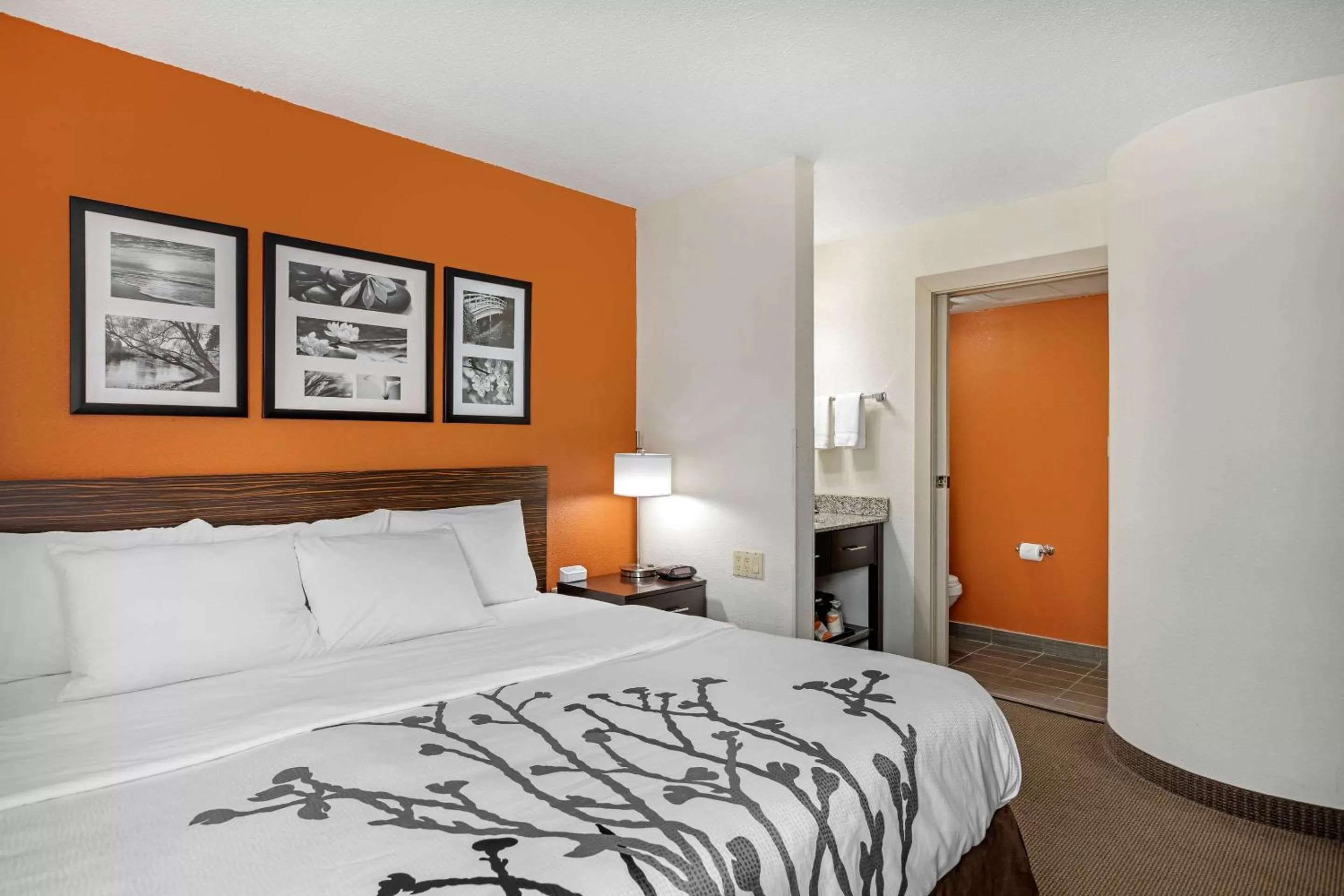 Bedroom, Bed in Sleep Inn DeWitt - Lansing North