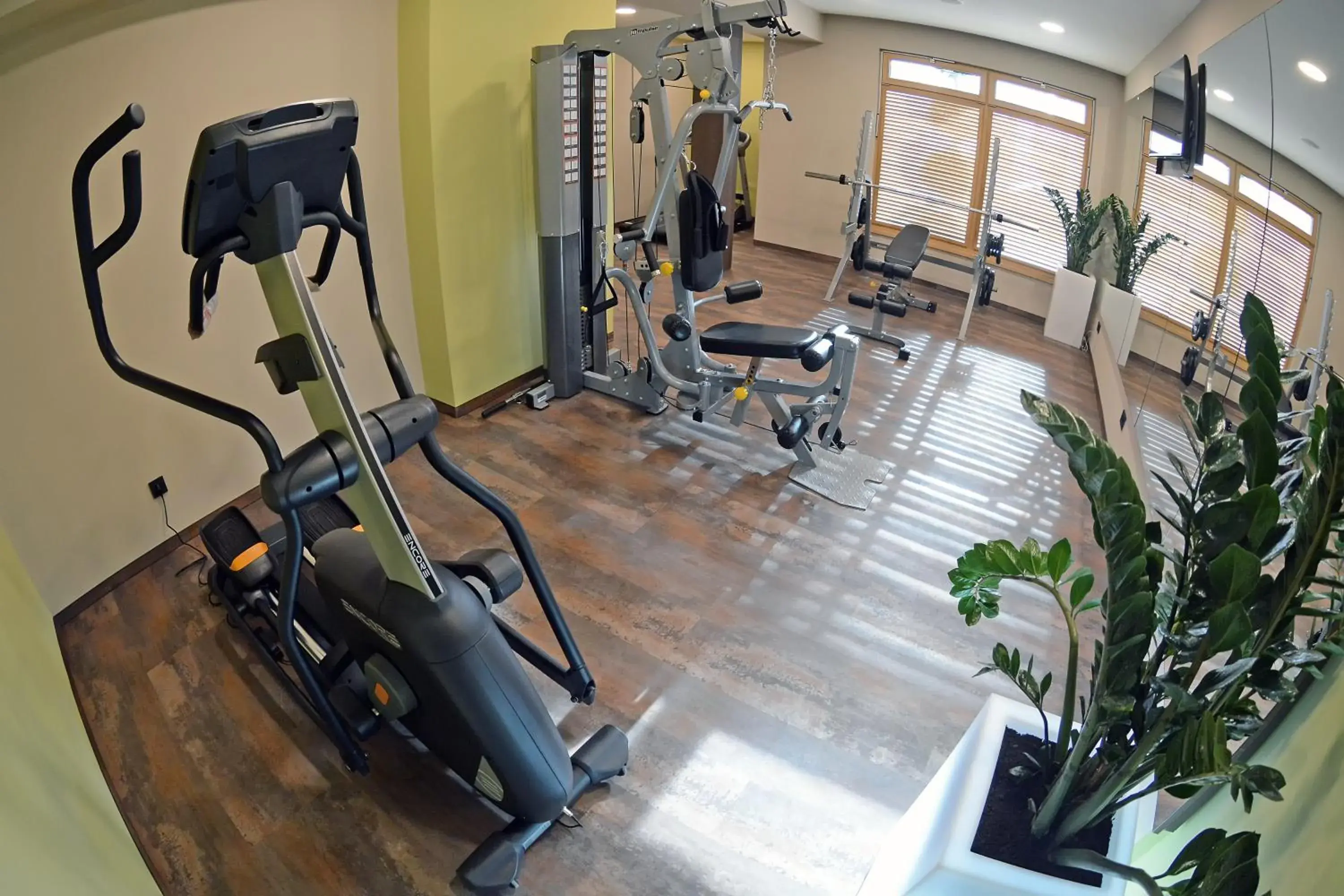 Activities, Fitness Center/Facilities in Hotel Gallus
