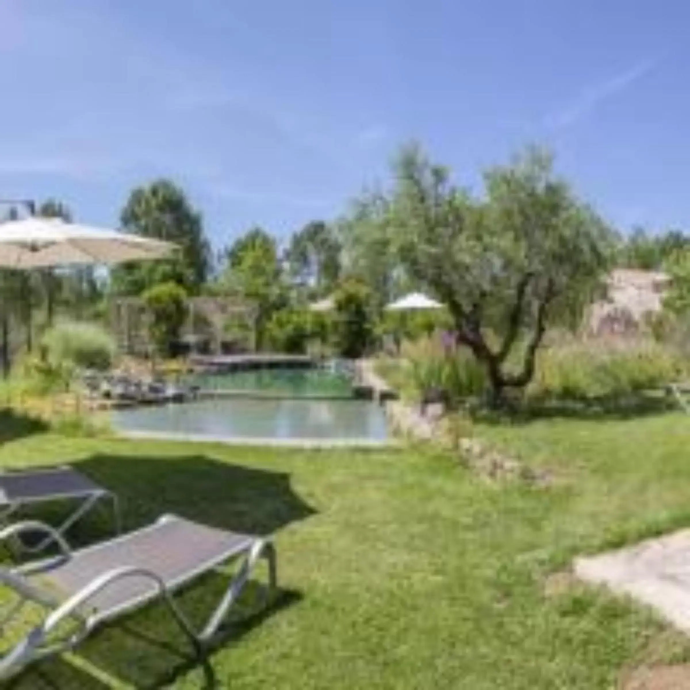 Garden, Swimming Pool in Le Mas de Baume