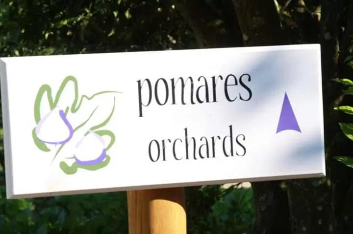 Pousada Vale Dos Figos