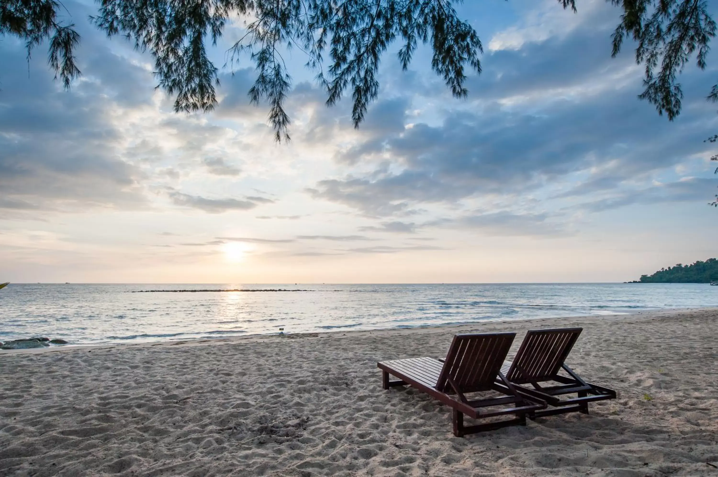 Garden, Beach in Seafar Resort