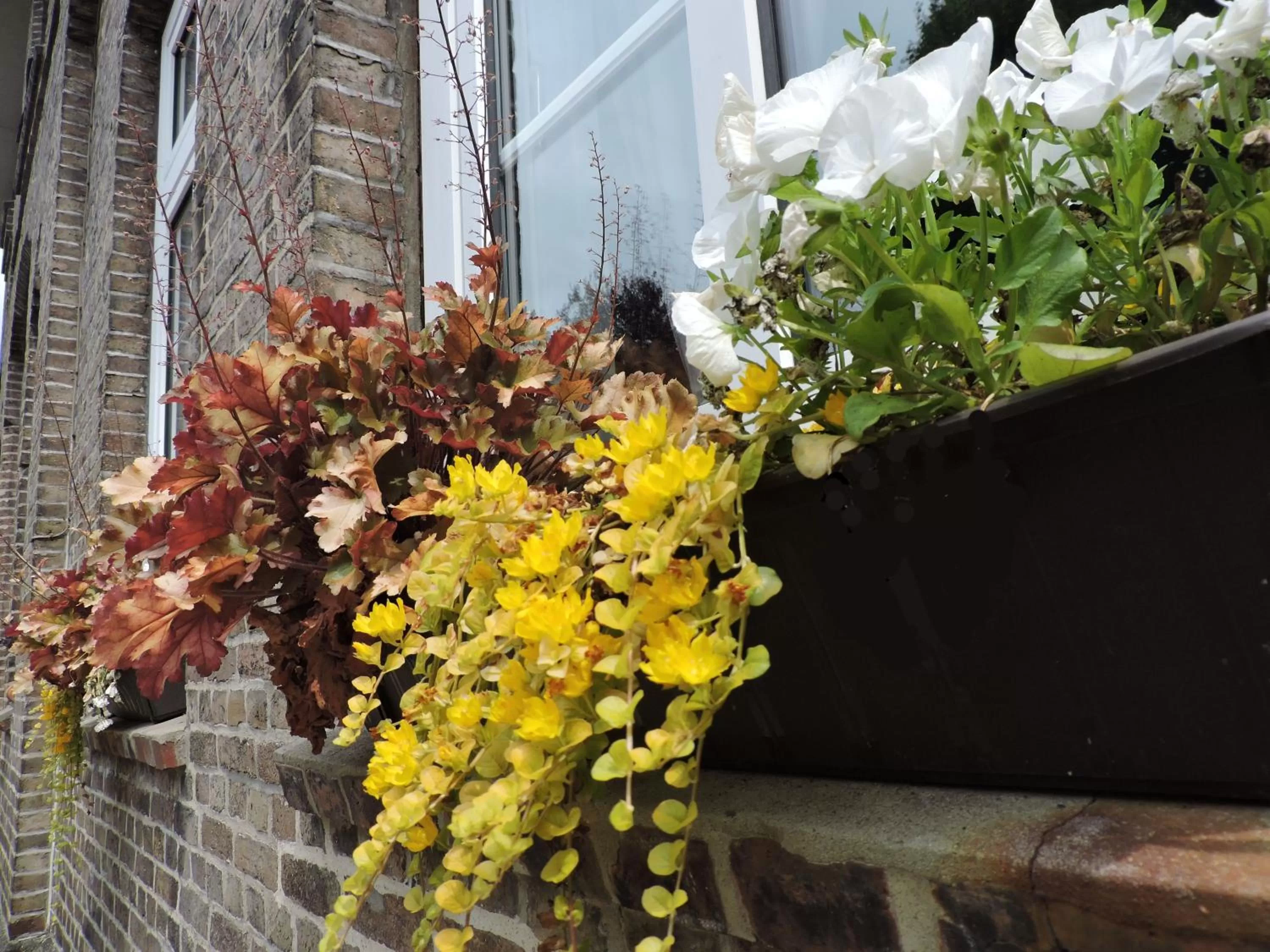 Property building in Altes Pastorat