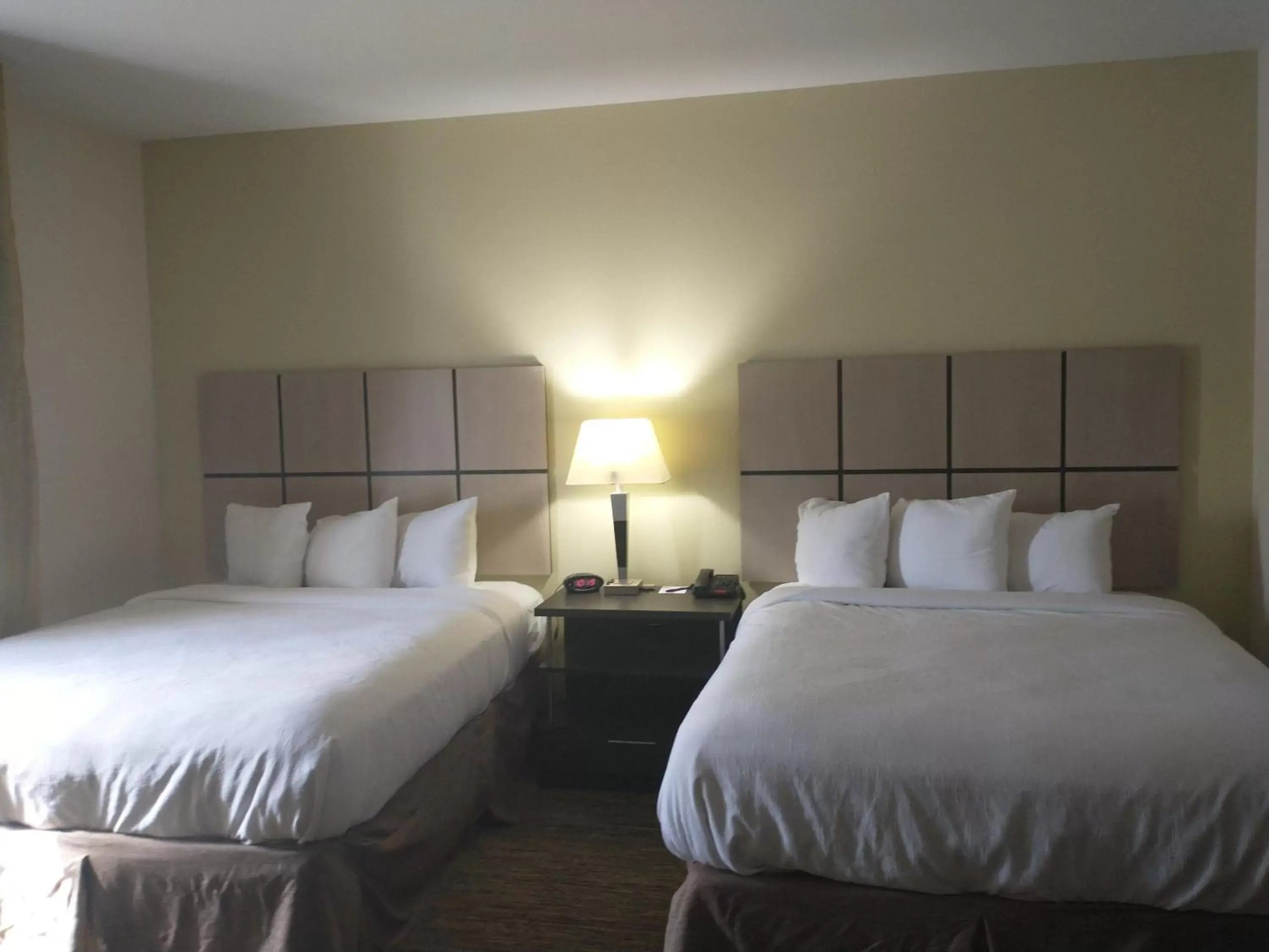 Bedroom, Bed in MainStay Suites Denham Springs - Baton Rouge East